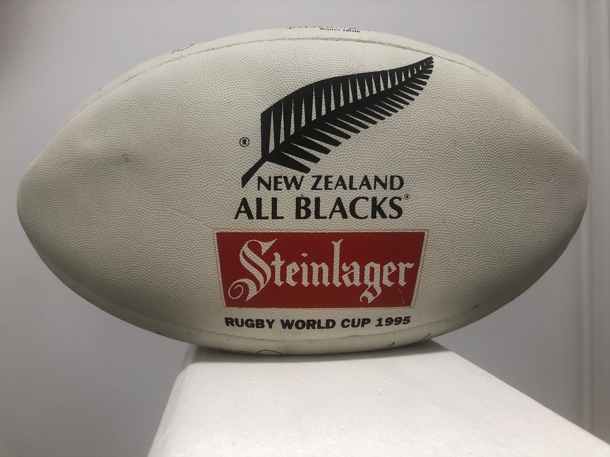 Team Rugby Union's image