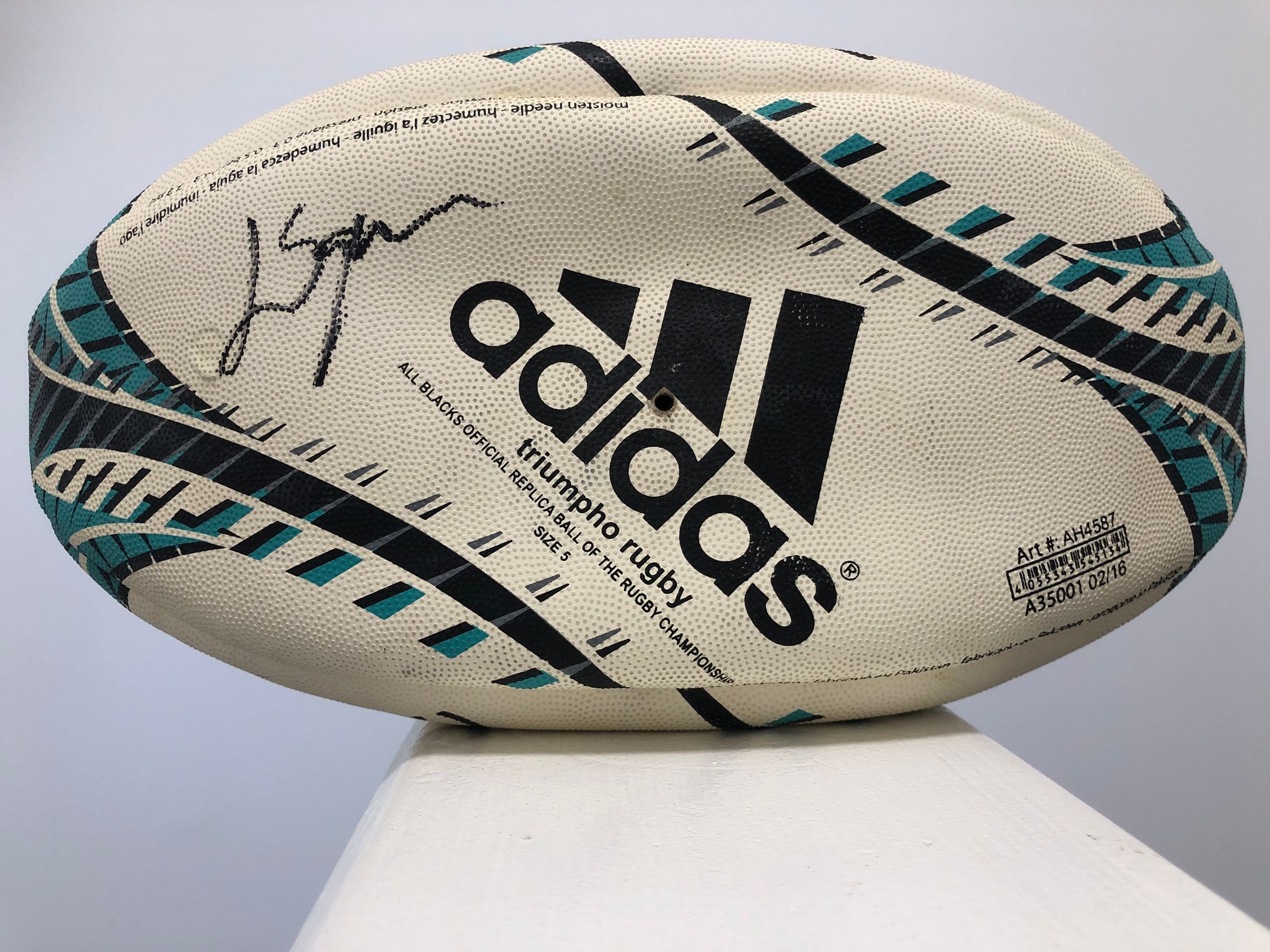 Team Rugby Union's image