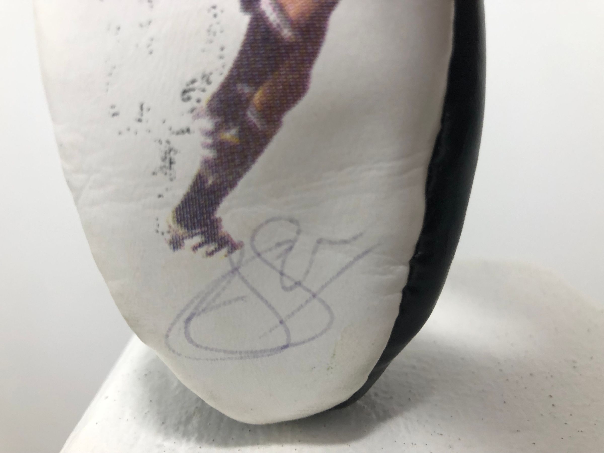 Team Rugby Union's image