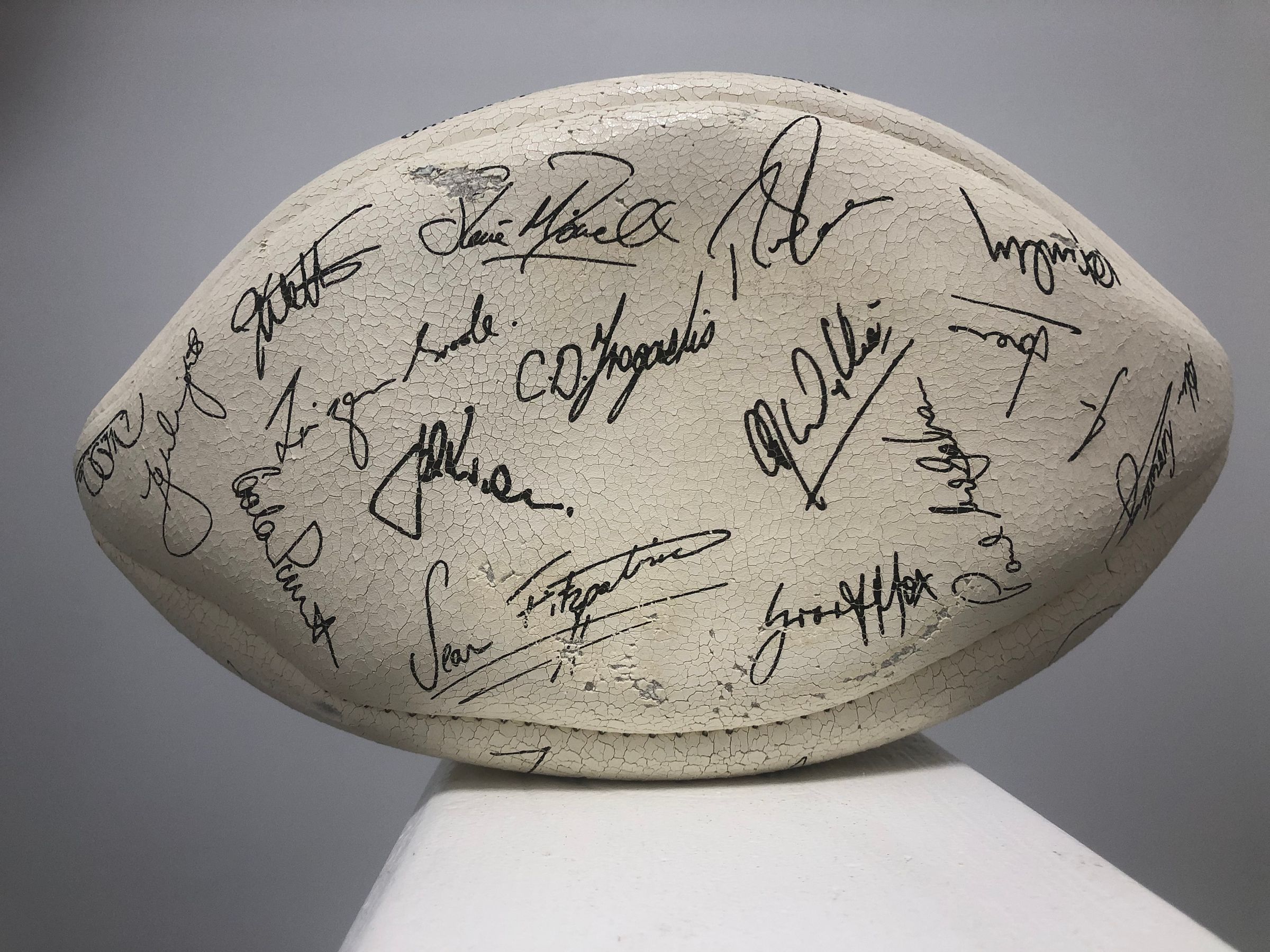 Team Rugby Union's image