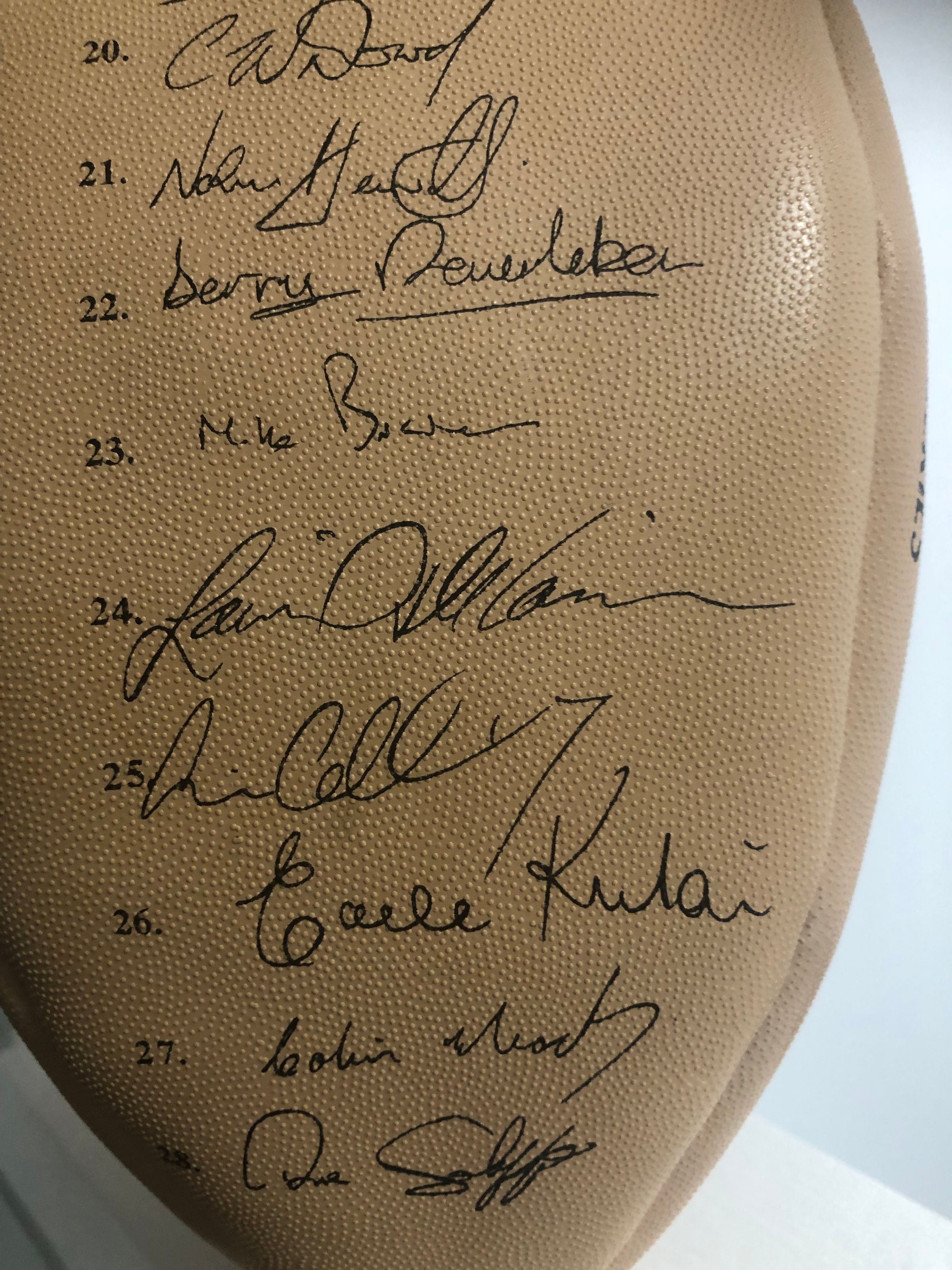 Team Rugby Union's image