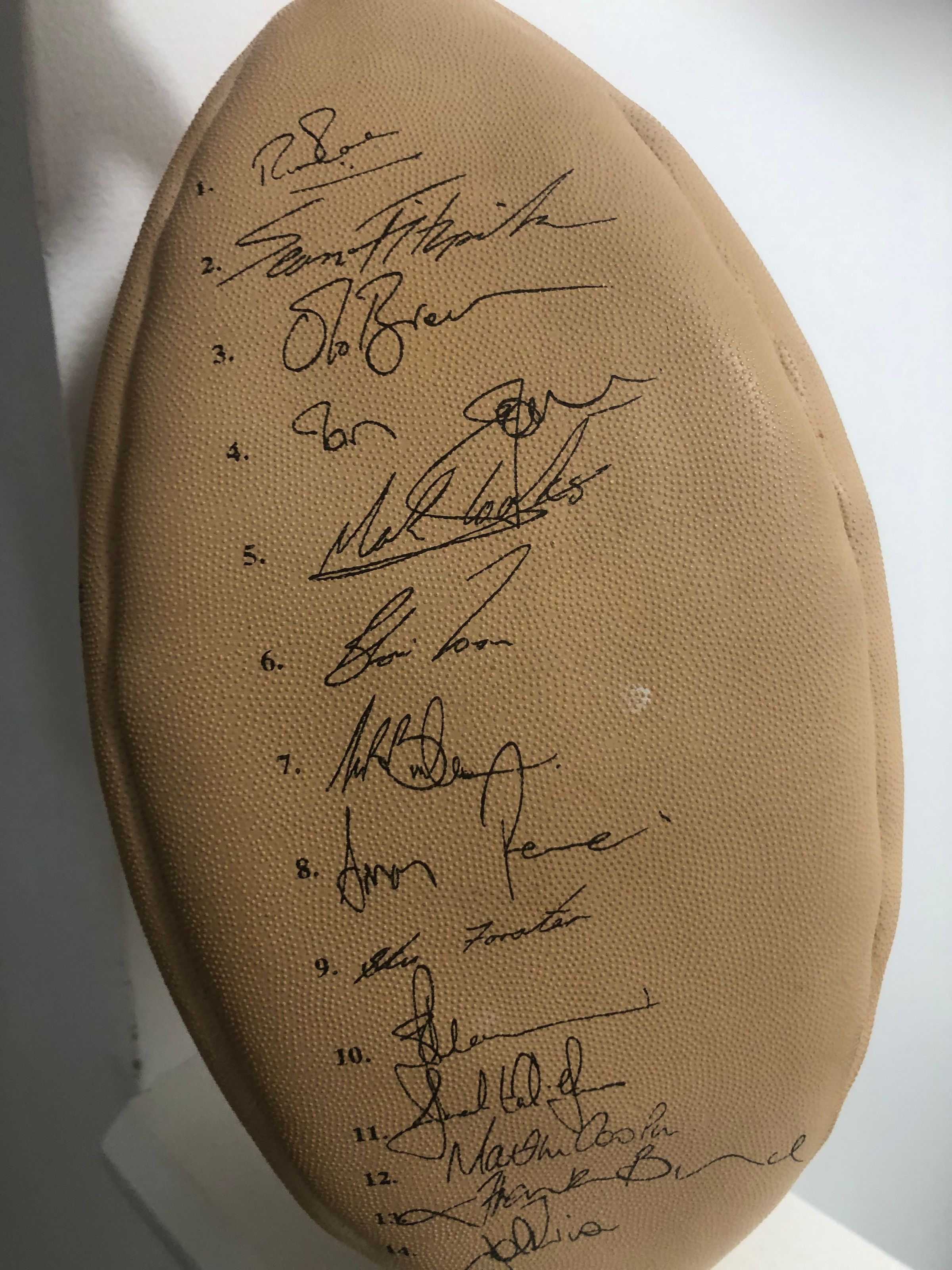 Team Rugby Union's image