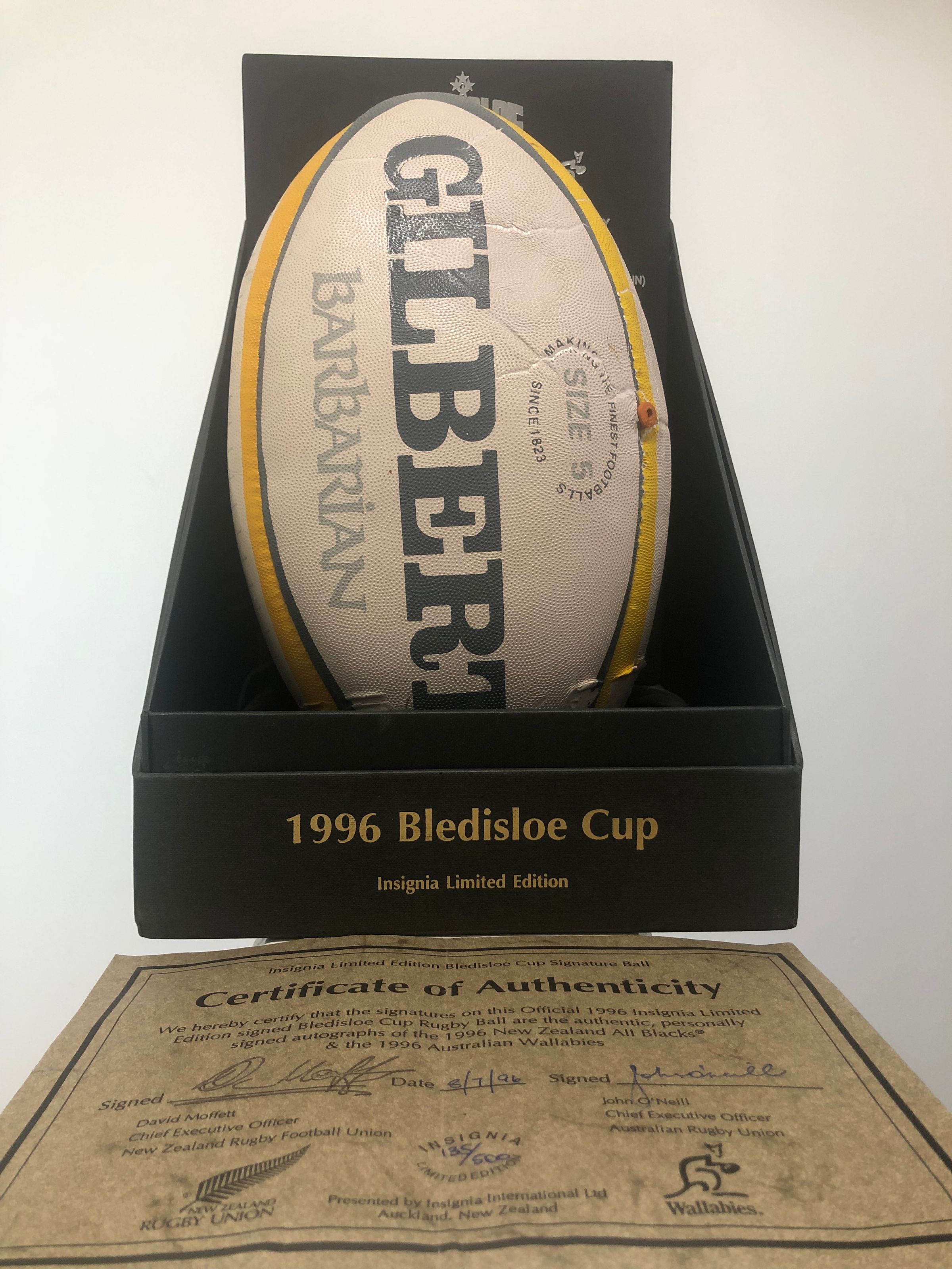 Team Rugby Union's image