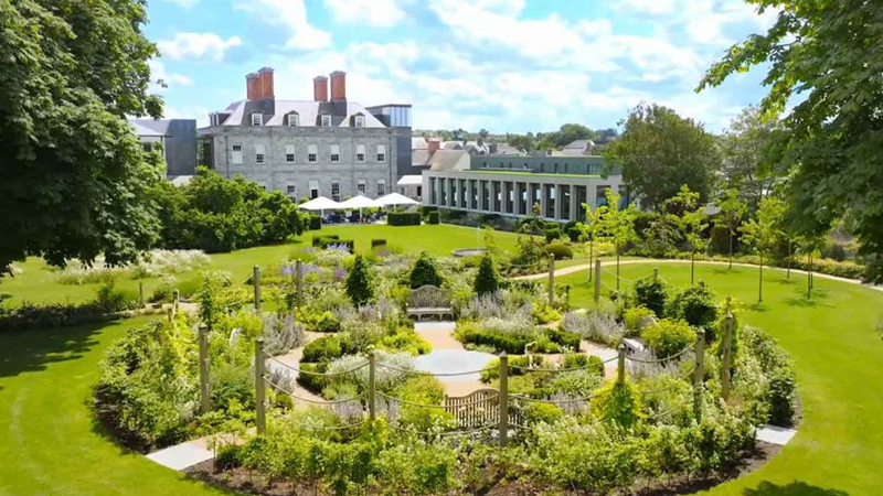 The Wedding of John & Dave's image