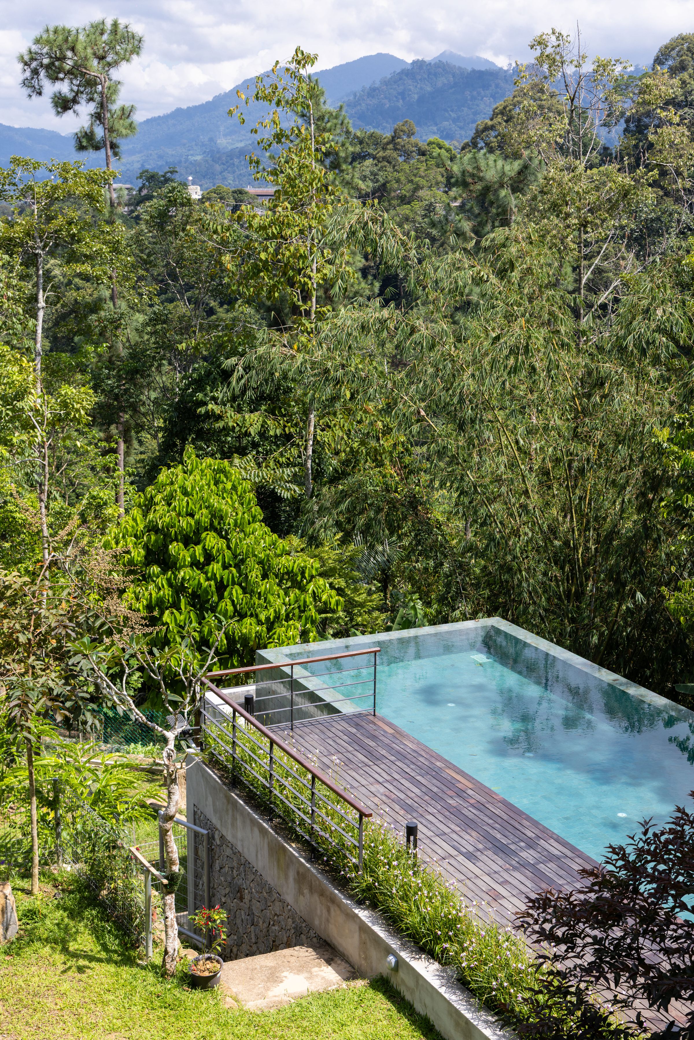 Hillside view from a SereneNest balcony toward the infinity pool and forest below
