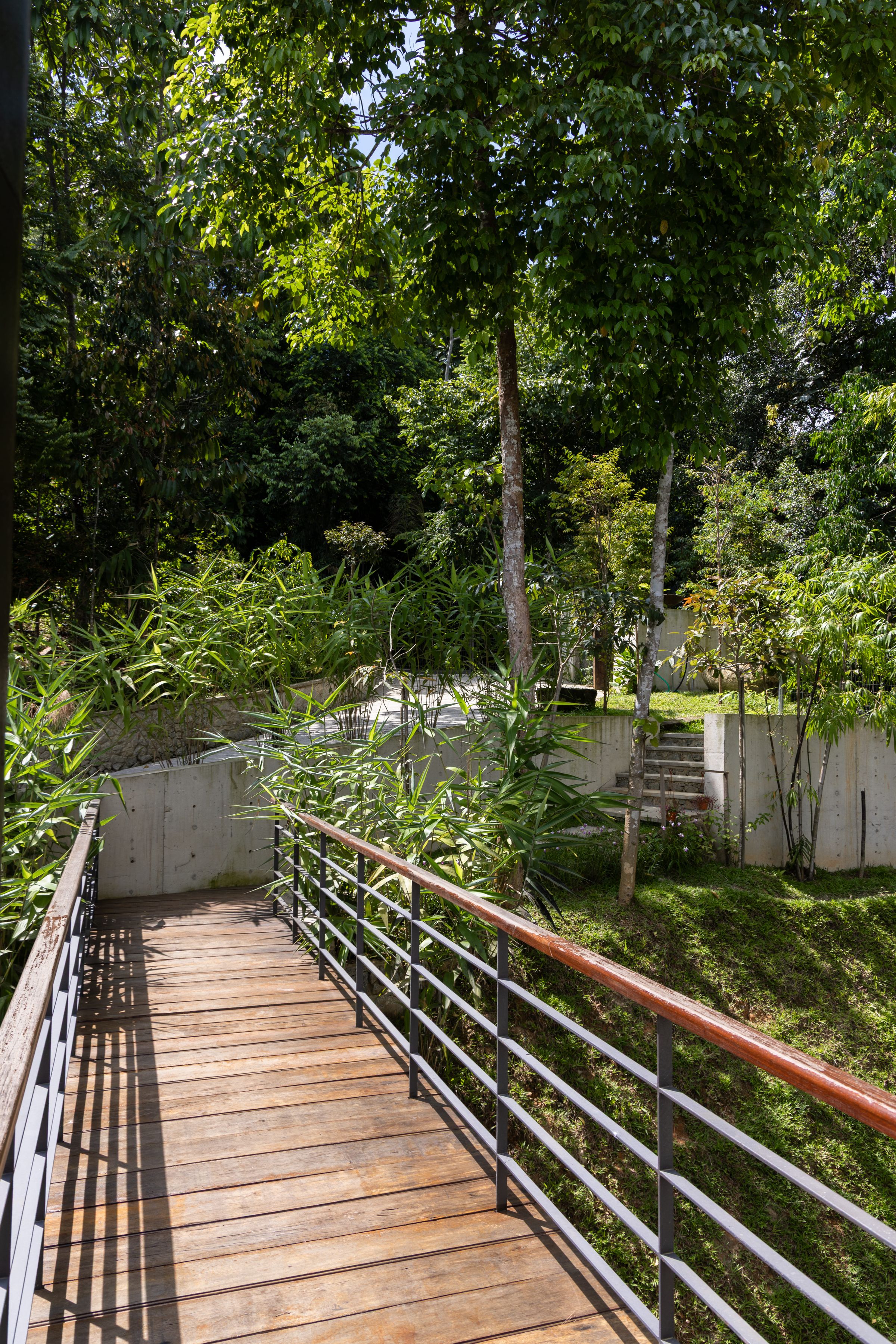 Long timber walkway at SereneNest leading through the forest with a metal railing