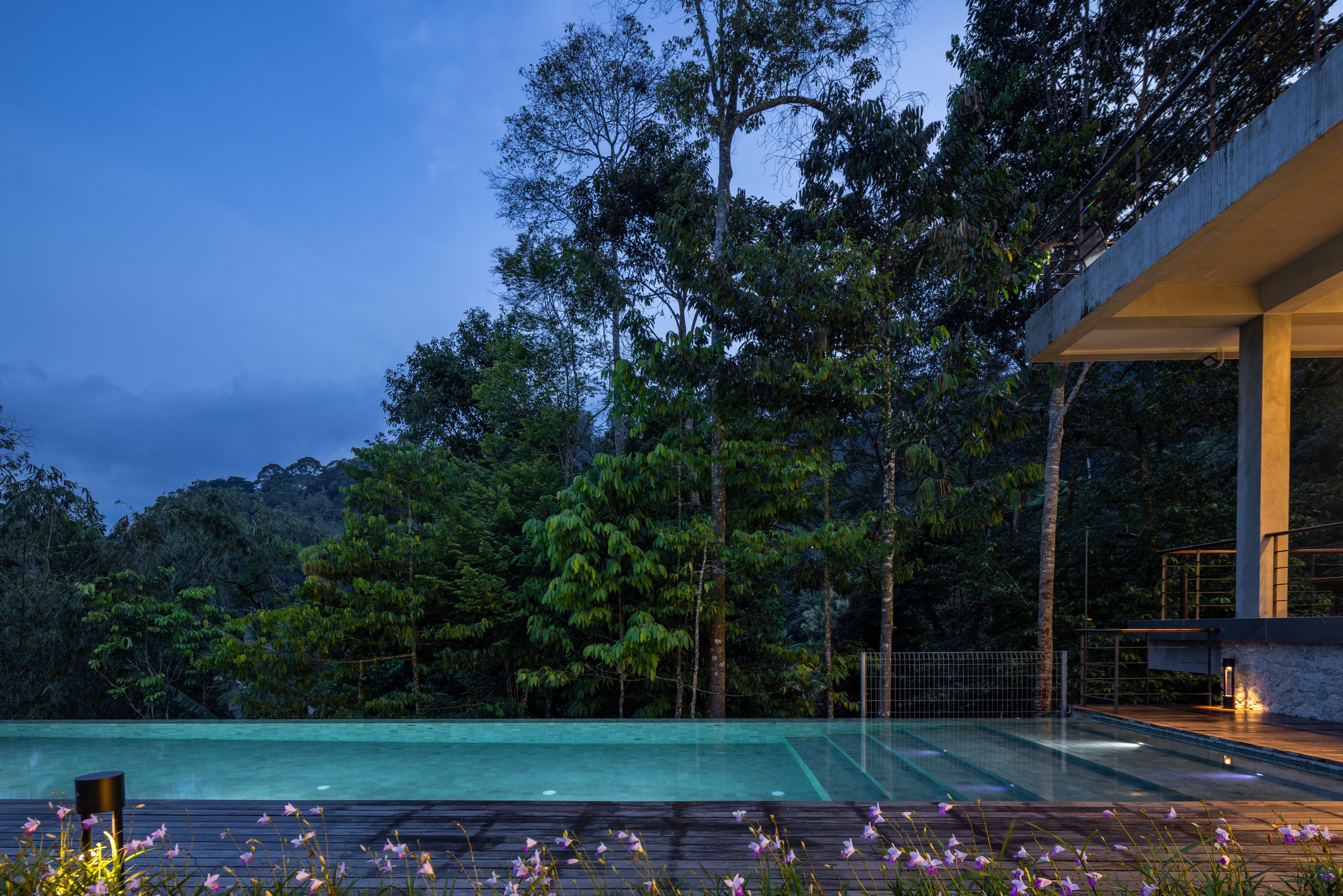 Infinity pool at SereneNest at twilight reflecting the blue sky and surrounding forest