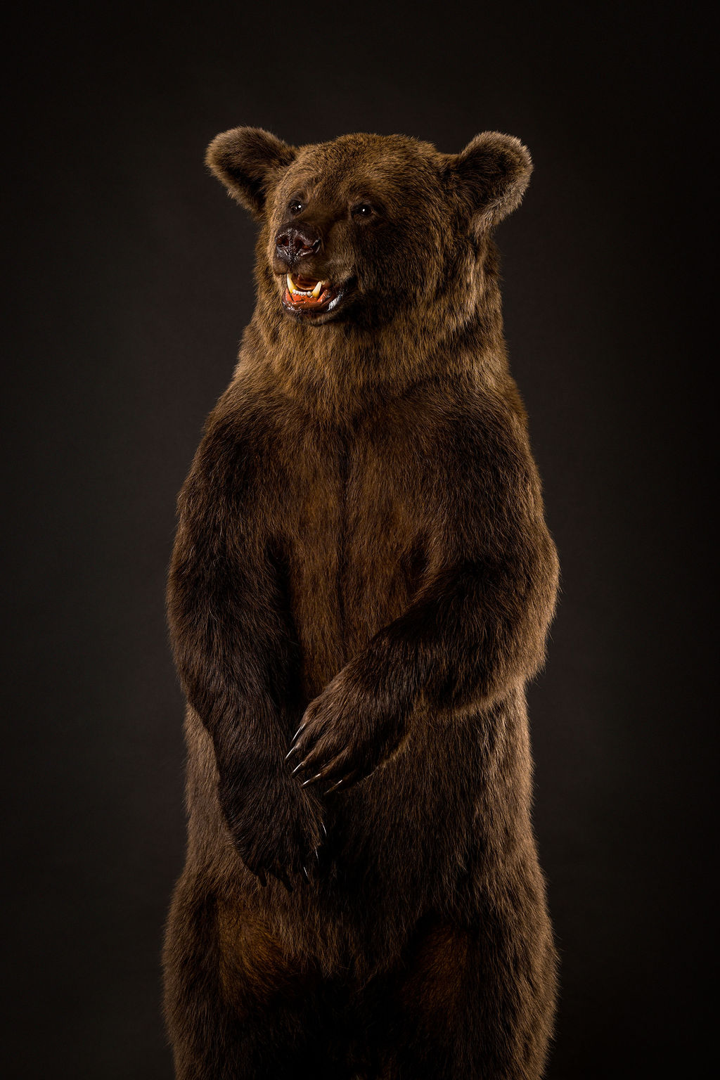 Preparatorski Atelje 's image