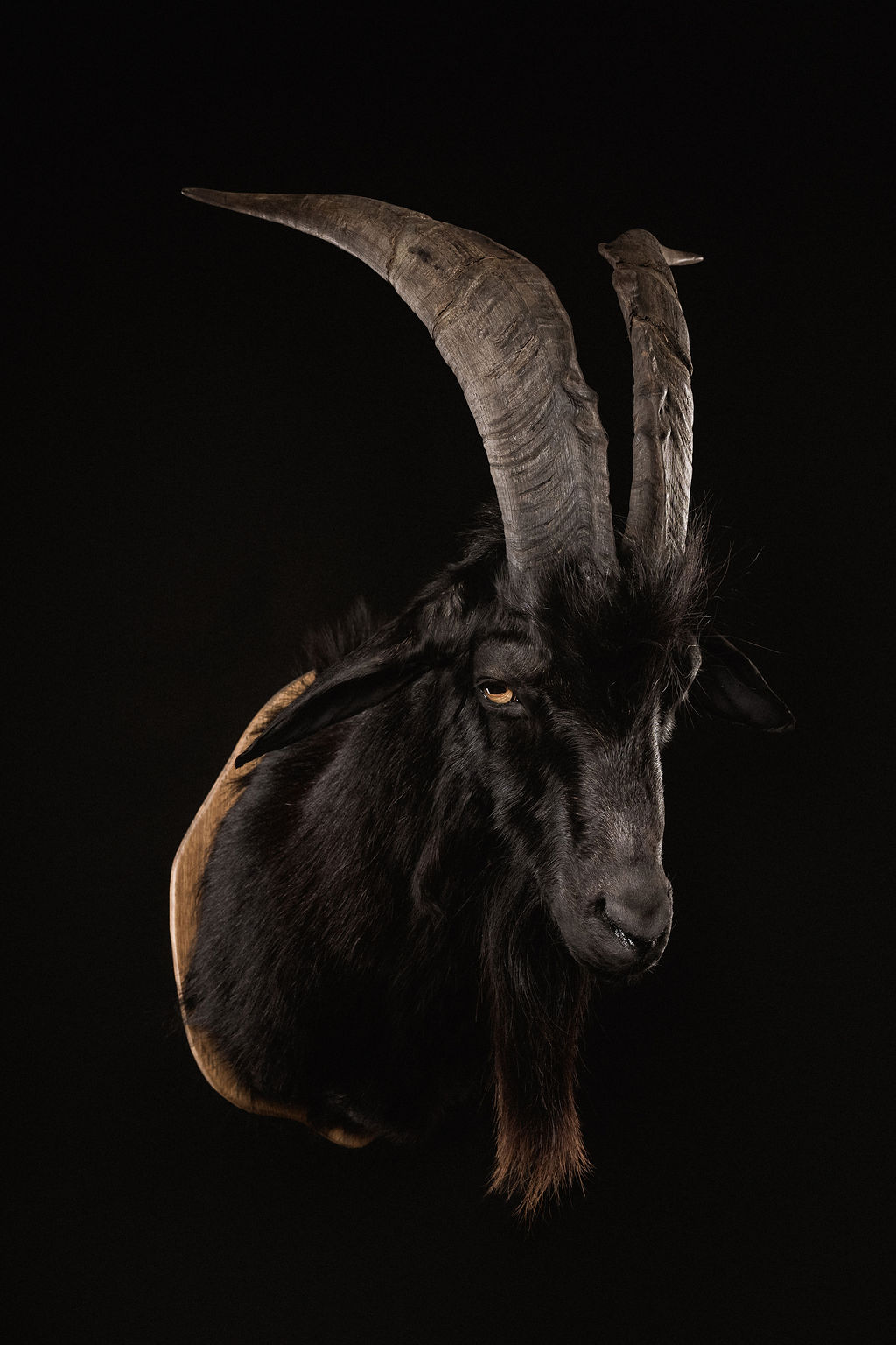 Preparatorski Atelje 's image