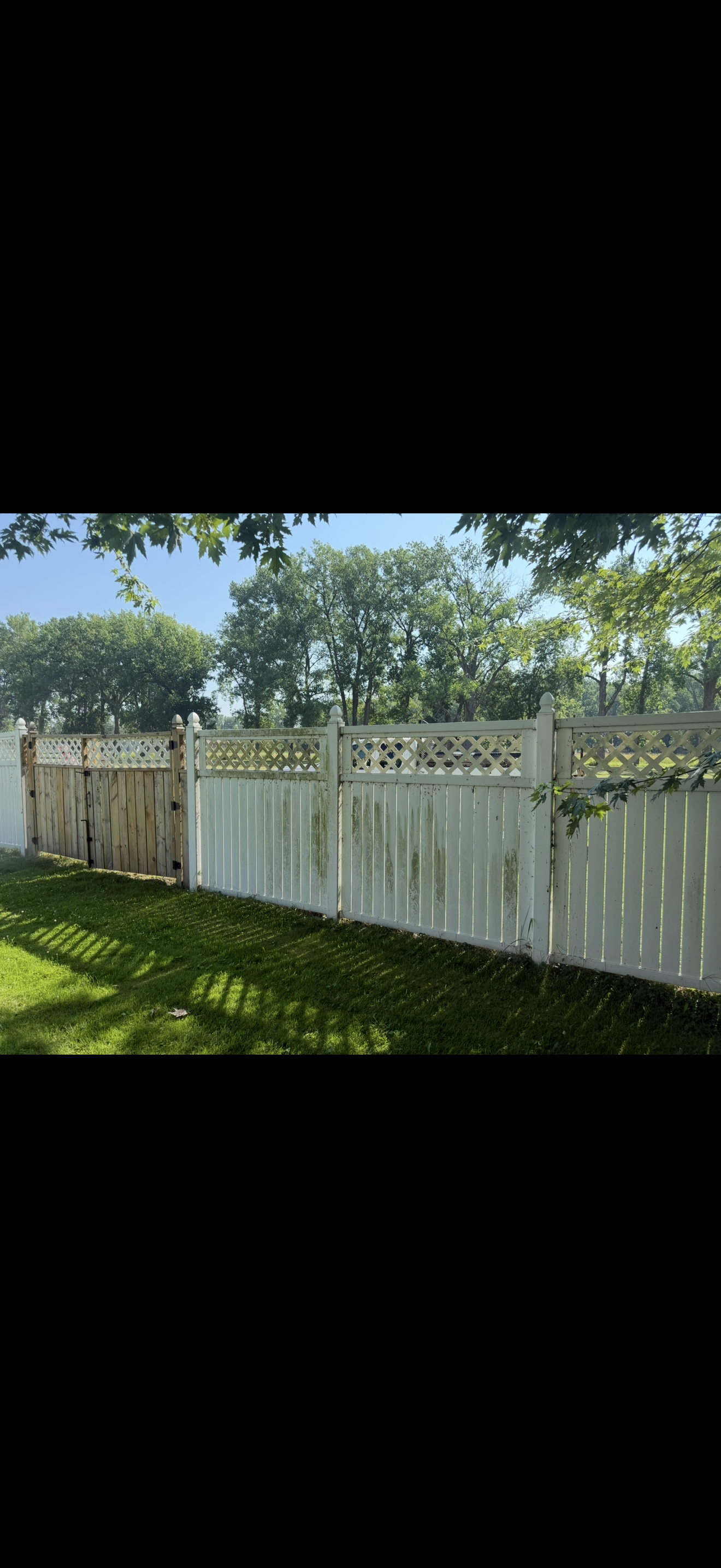 Tony N Tina LLC's image