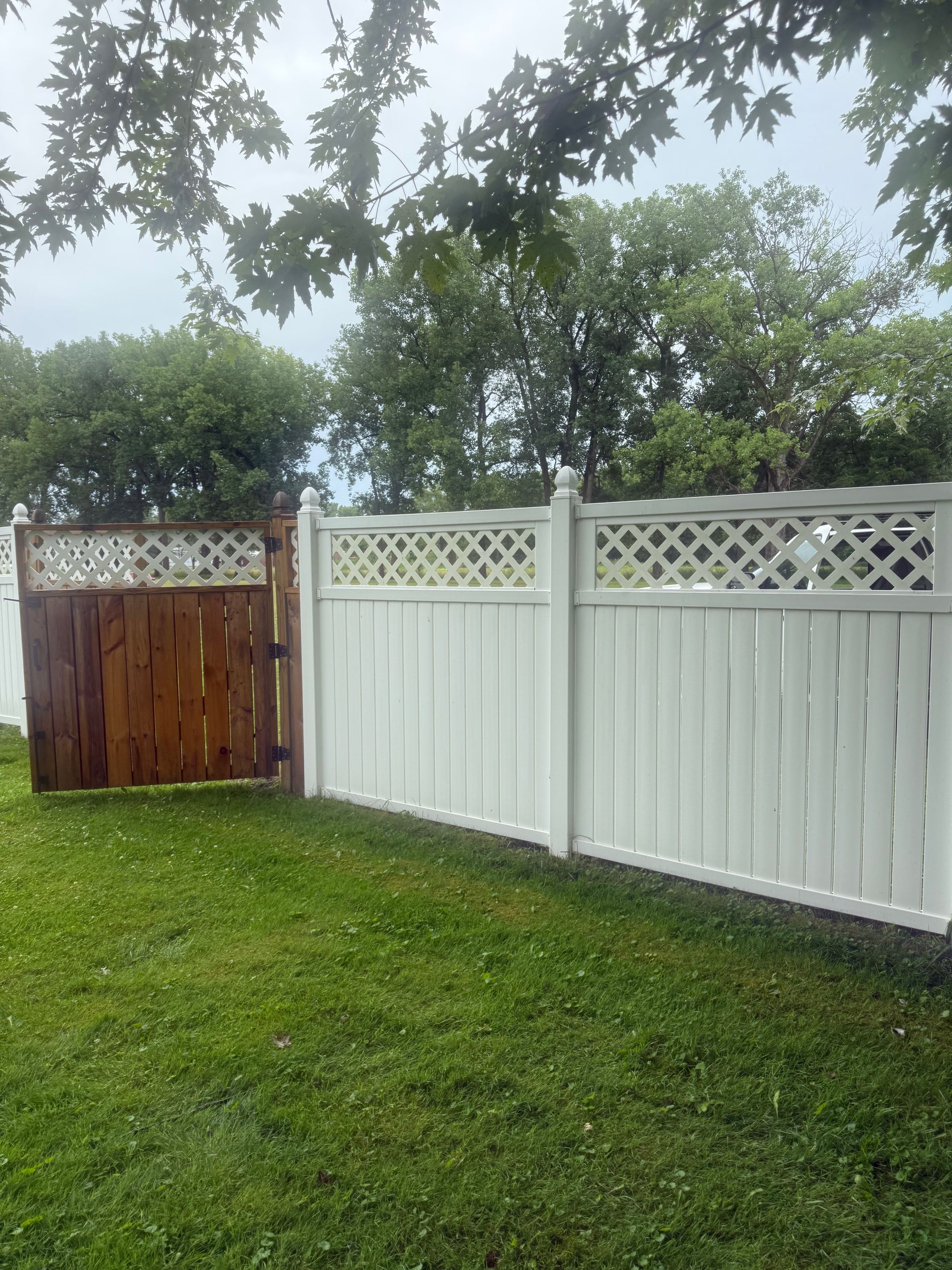 Tony N Tina LLC's image