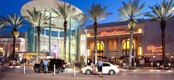 FloridaVilla814's image