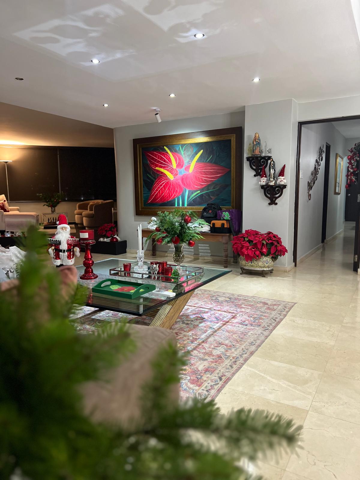 Christmas Decoration Condado