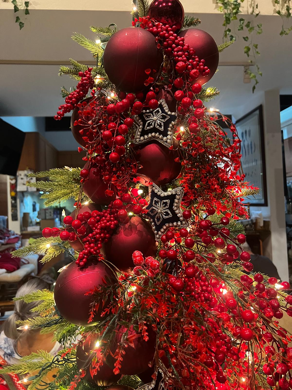 Vistamar Marina Christmas Decoration