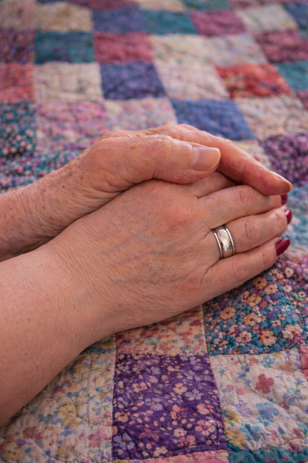 ARCTIC ANGELS's image