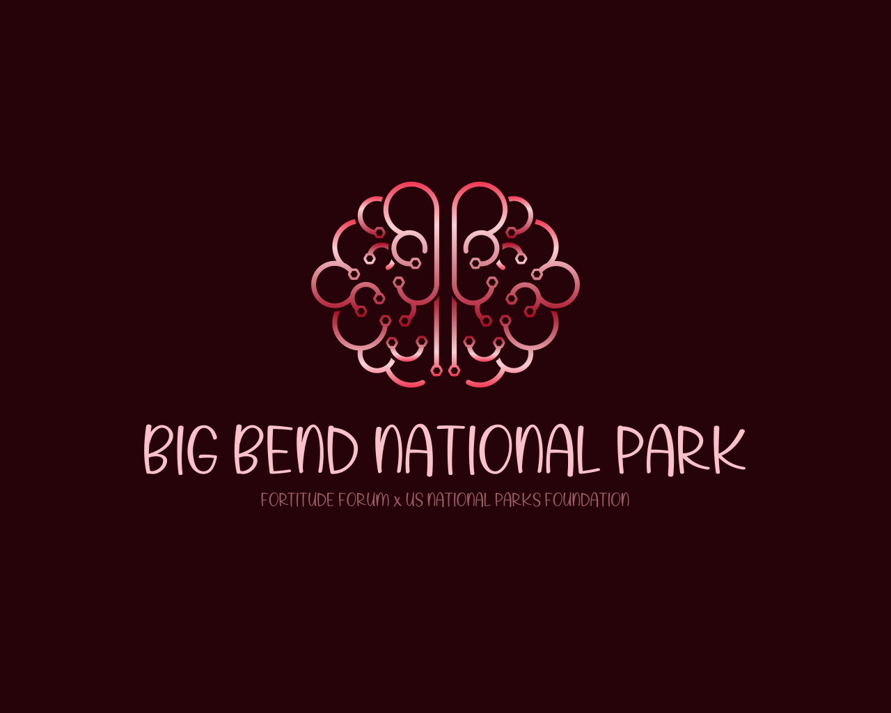 FORTITUDE FORUM's image