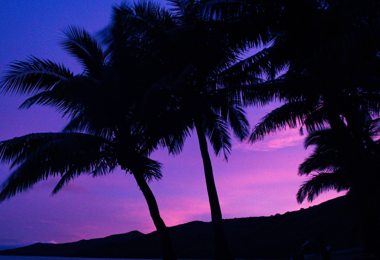 The colours of dusk.