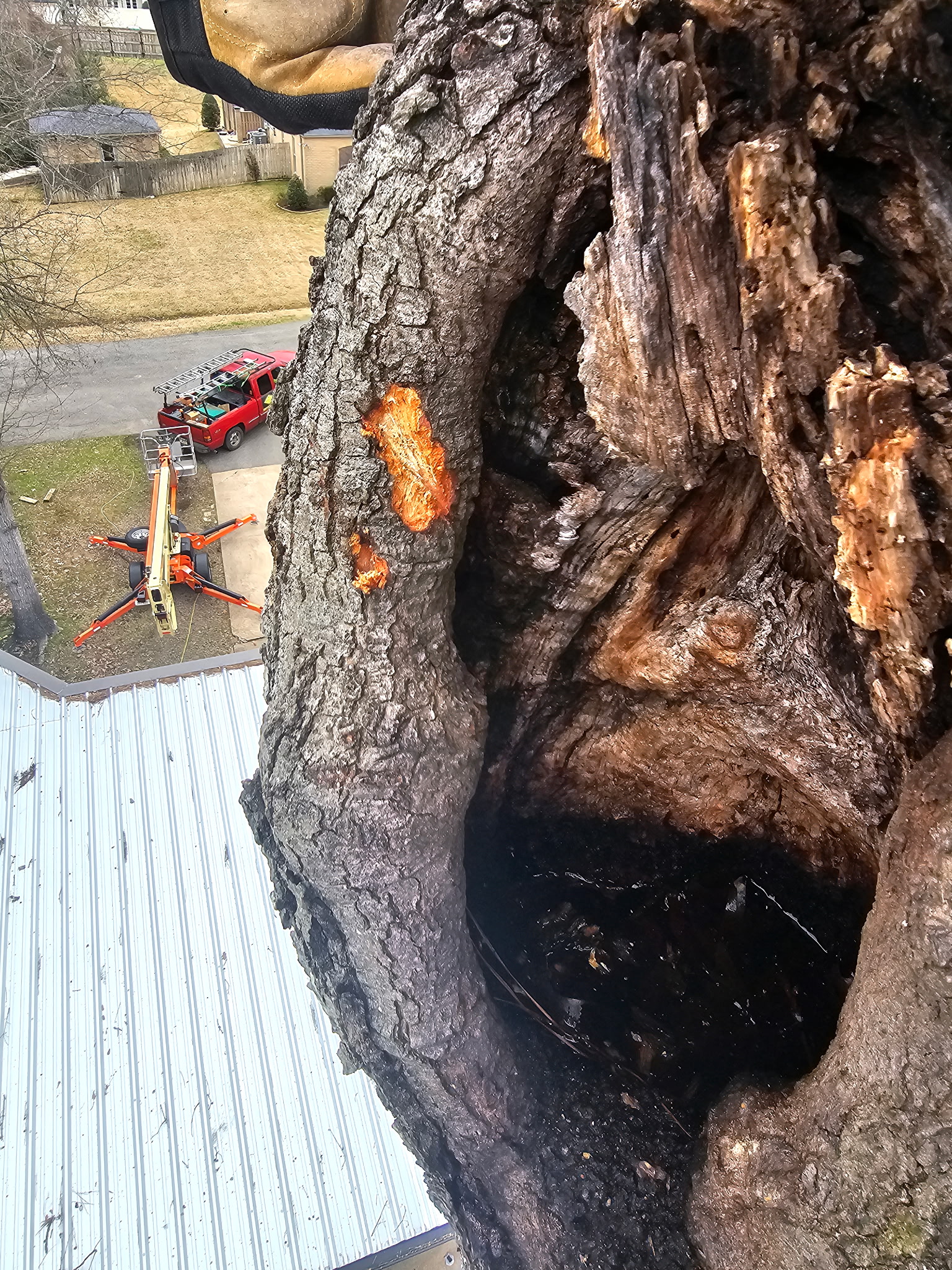 Rotten top Removal in Gladwater TX