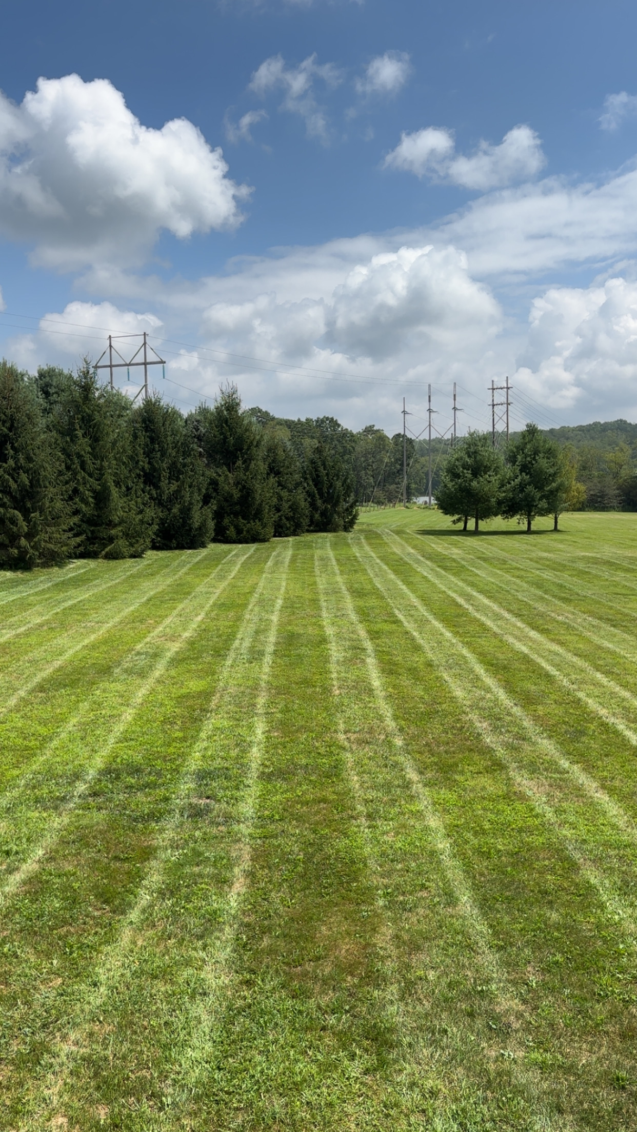 Deep Creek Lawn Care's image