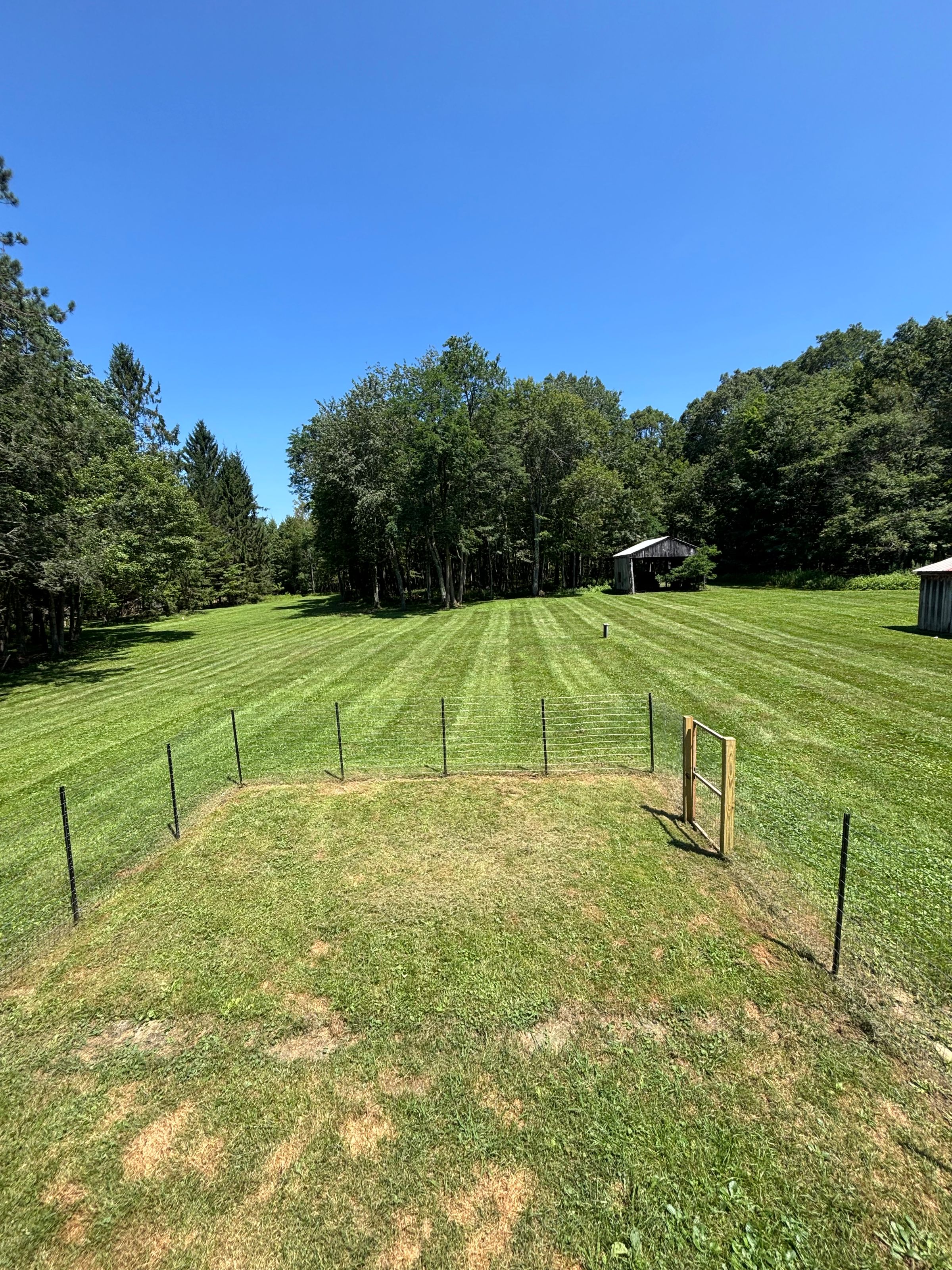 Deep Creek Lawn Care's image