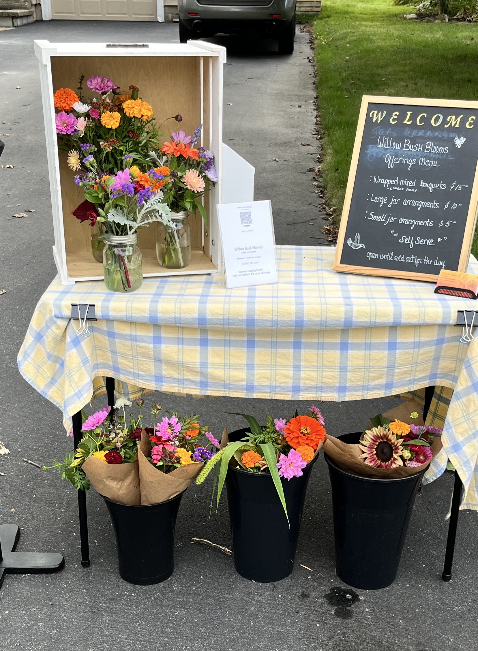 willowbushblooms.com's image