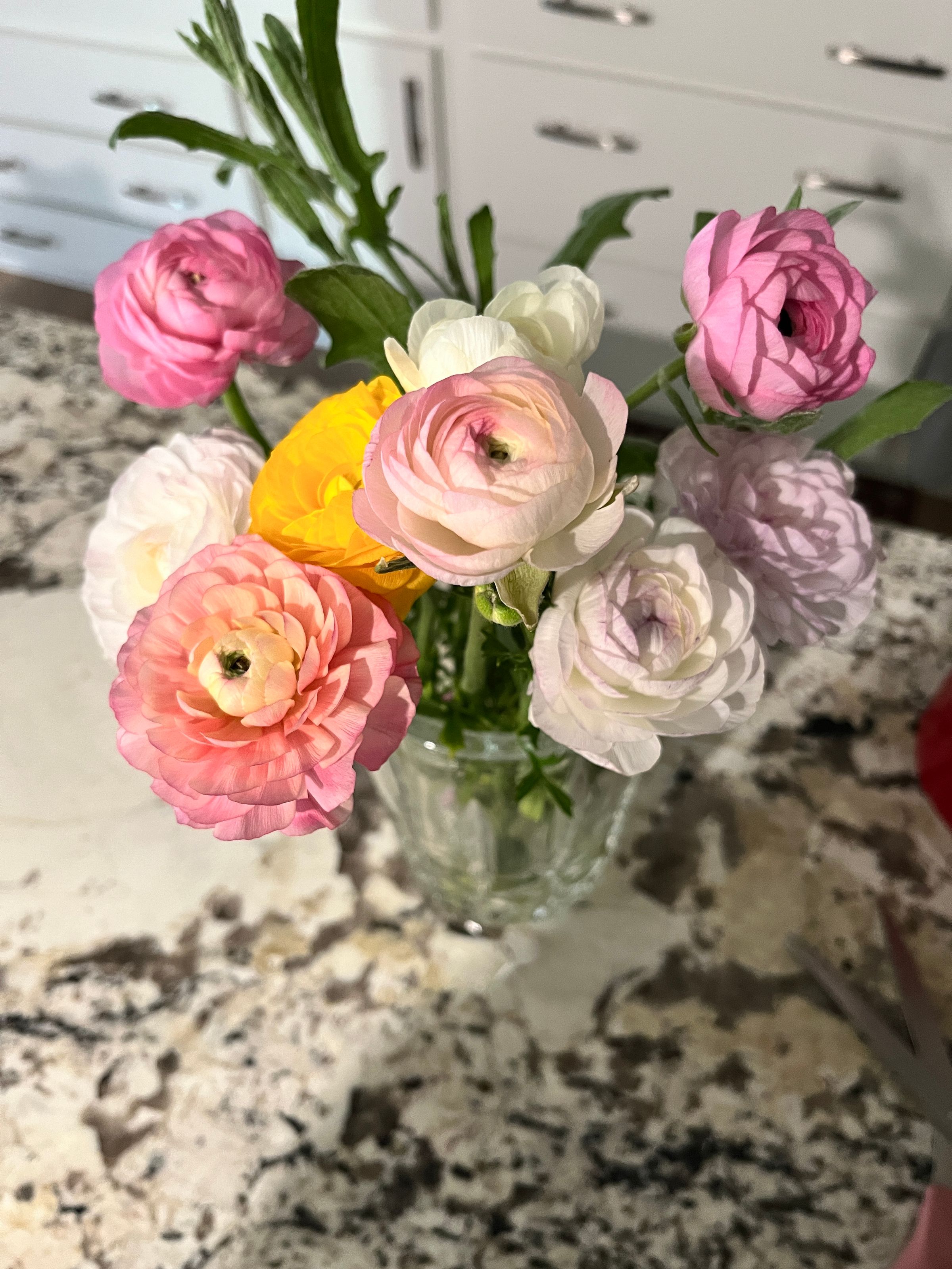 willowbushblooms.com's image