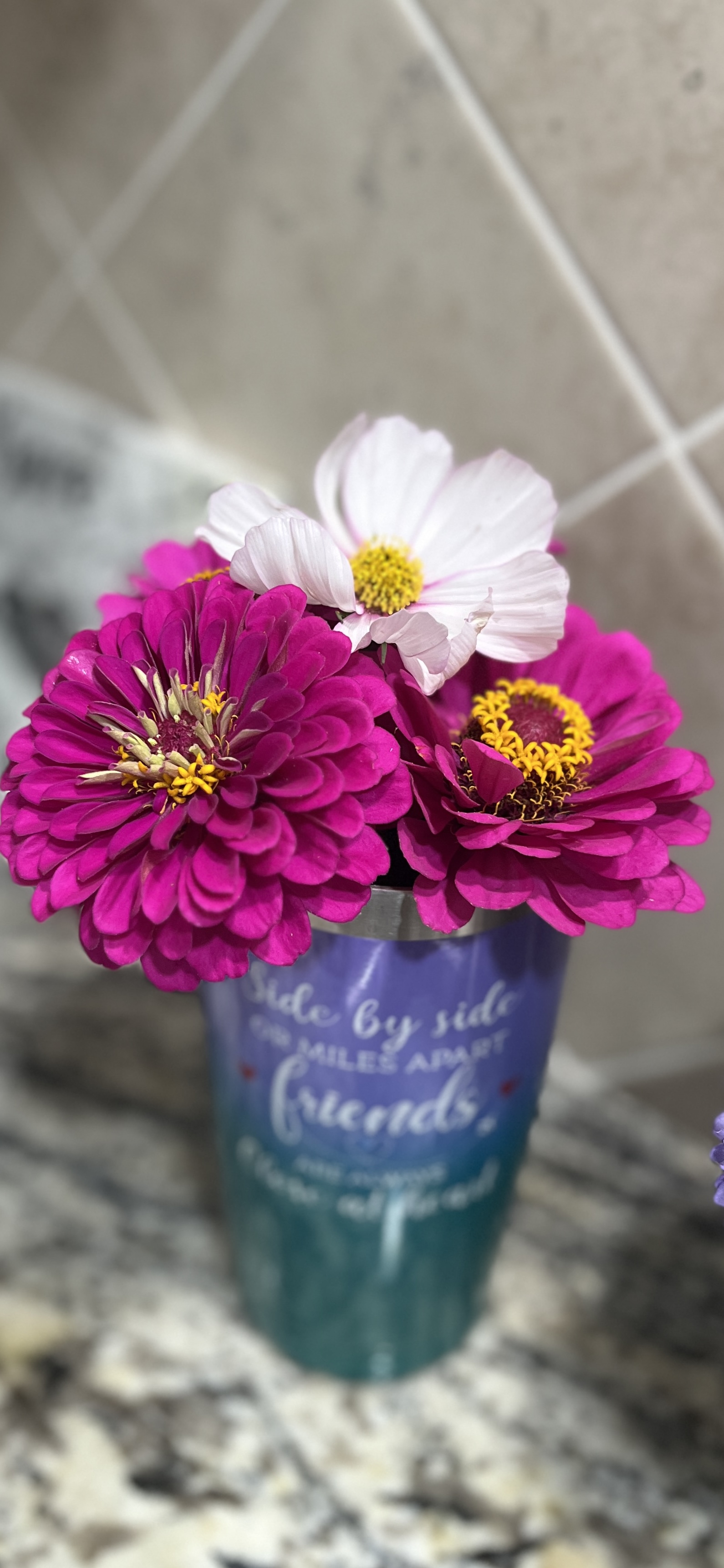 willowbushblooms.com's image