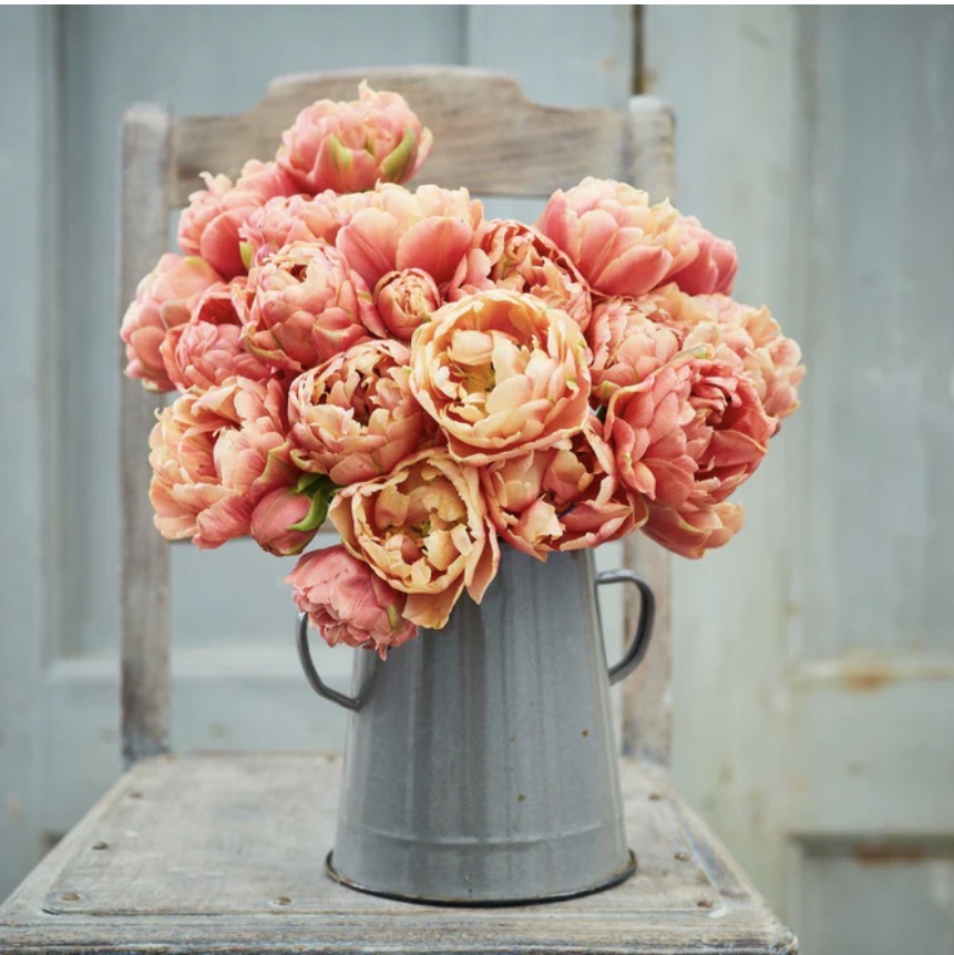 willowbushblooms.com's image