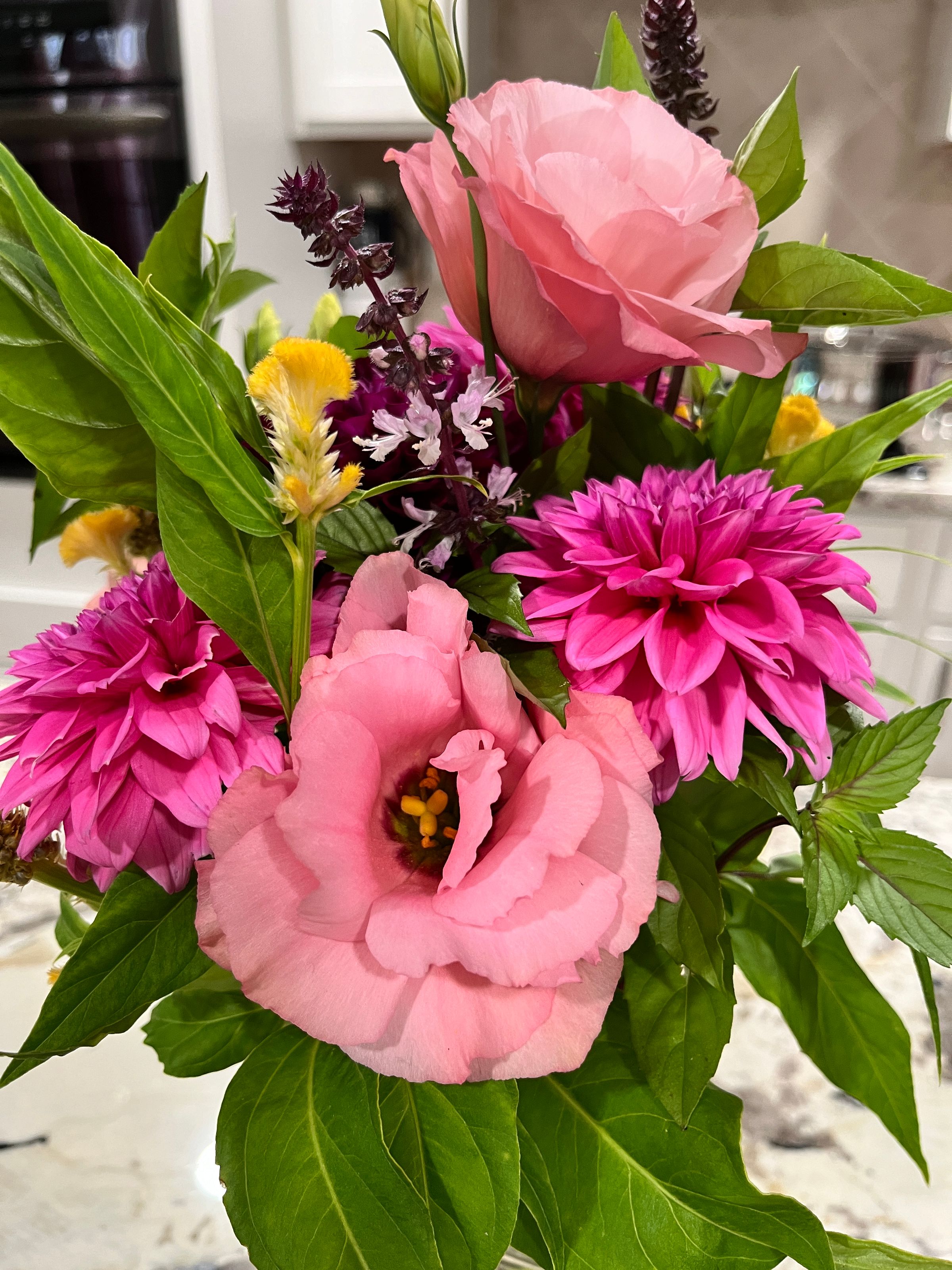 willowbushblooms.com's image