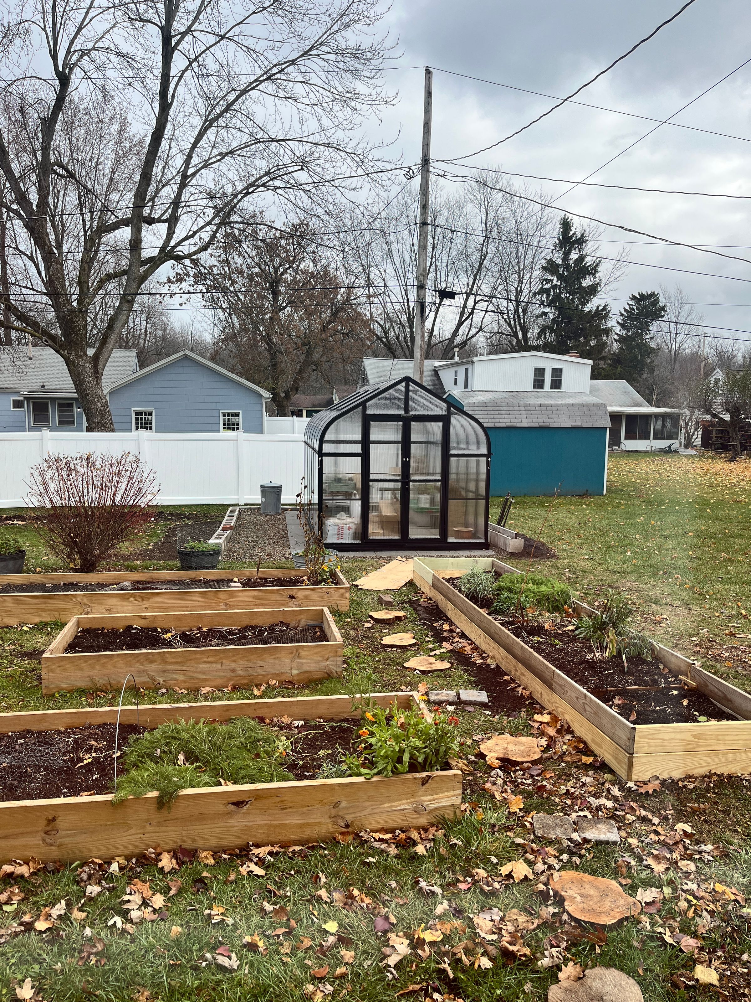 willowbushblooms.com's image