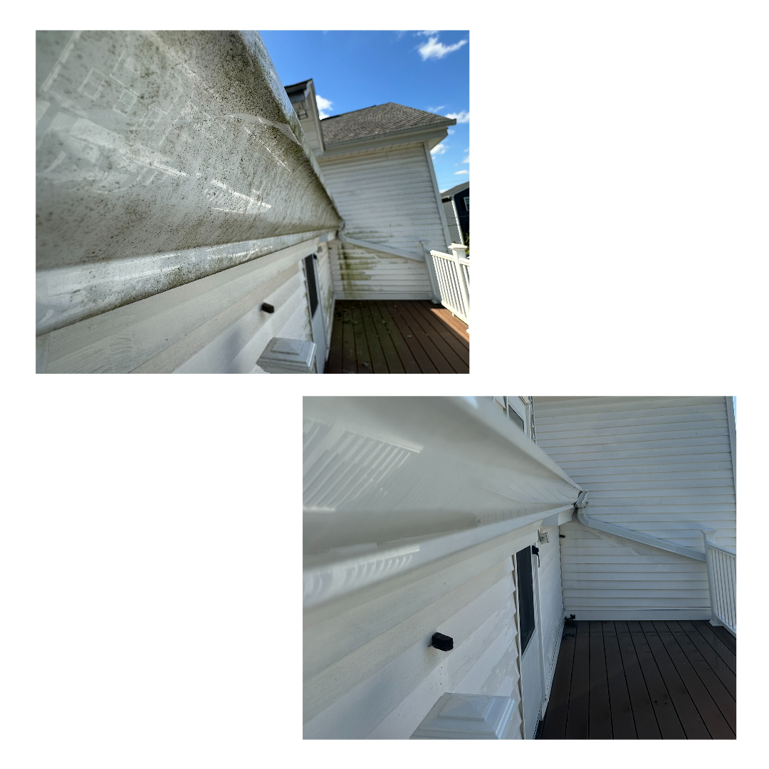 Tall Order Pressure Washing's image