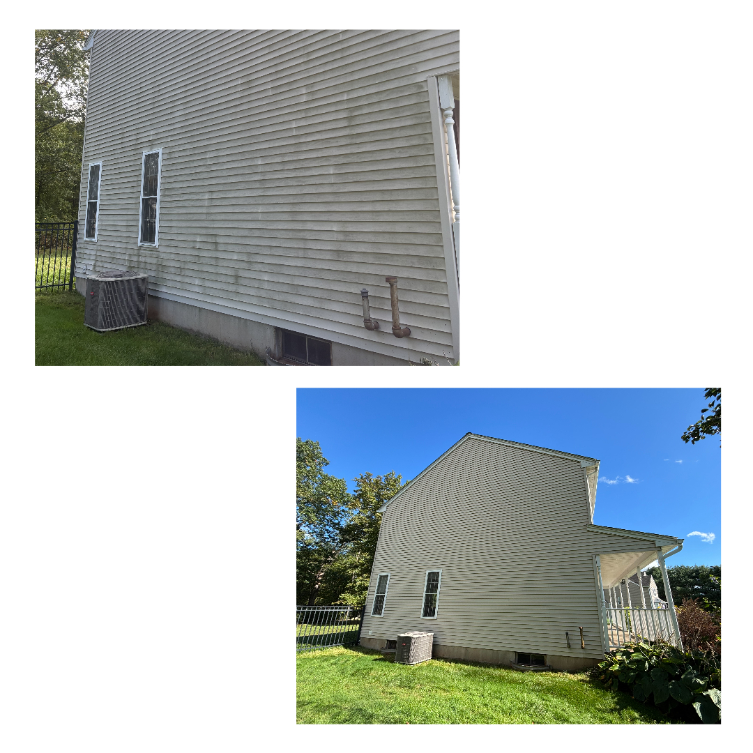 Tall Order Pressure Washing's image