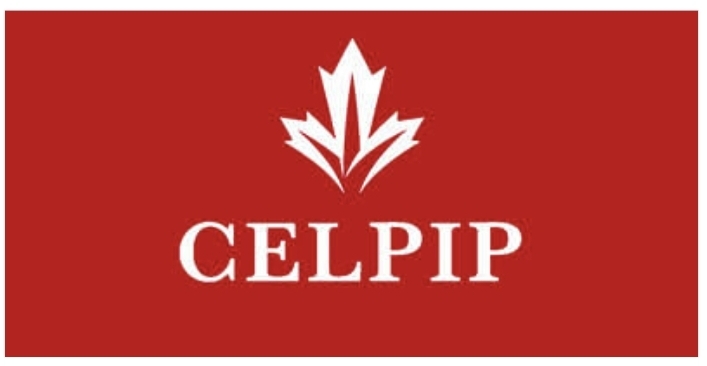 AE CONSULT: TEST AND TRAINING CENTRE FOR IELTS, OET, PTE's image