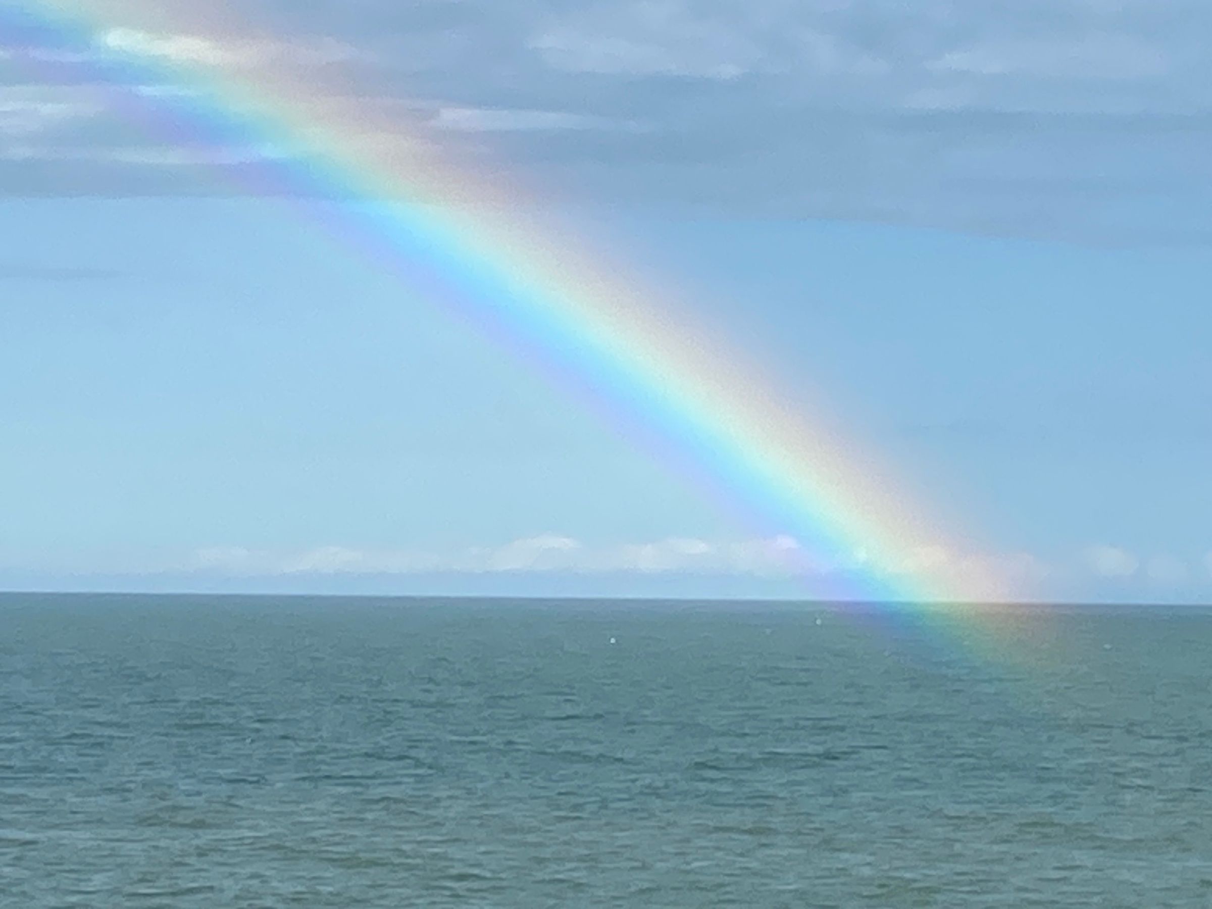 Sybil's  Sauna's image