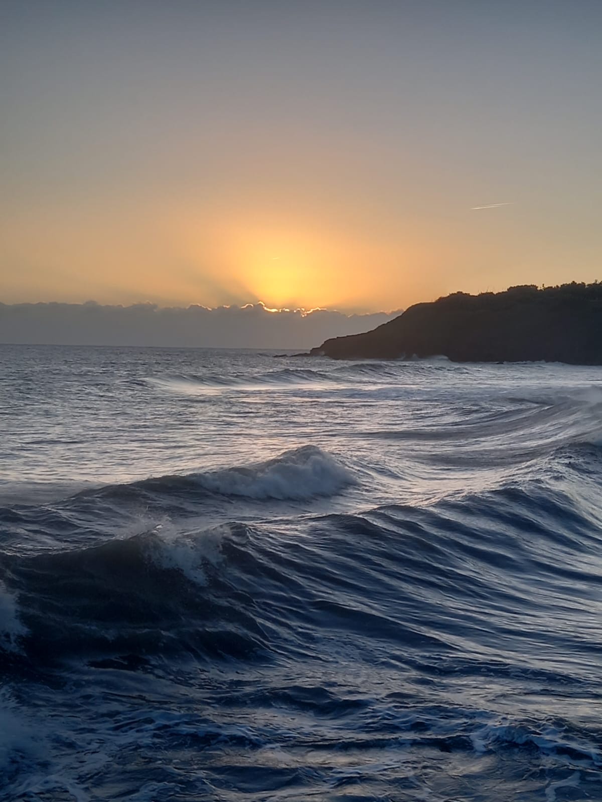 Sybil's  Sauna's image