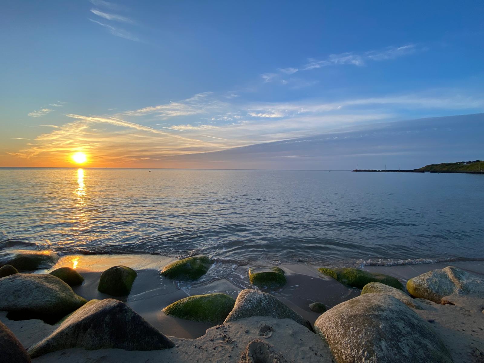 Sybil's  Sauna's image