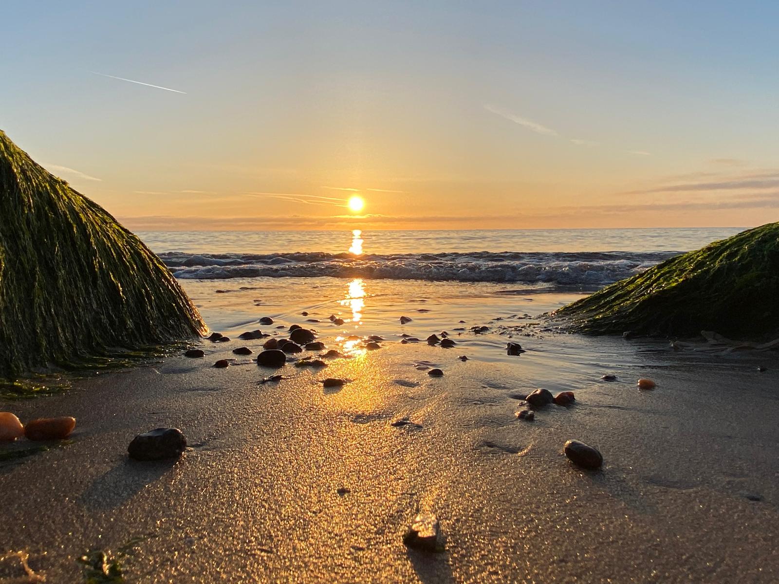 Sybil's  Sauna's image