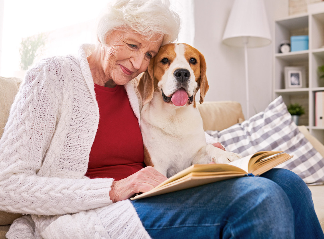 Genesis senior companions, llc's image