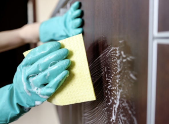 Genesis senior companions, llc's image