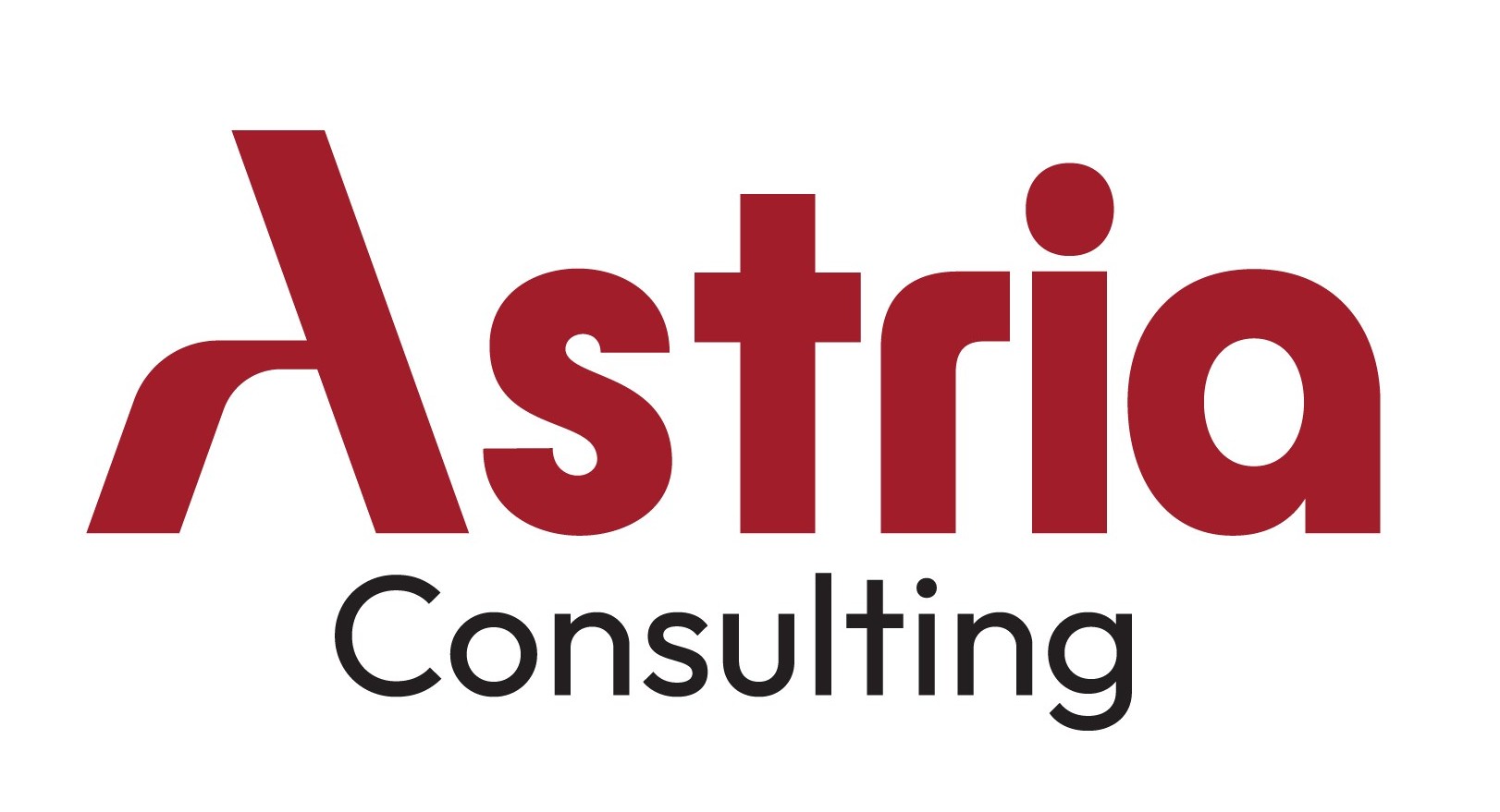 Bizt Consulting's image