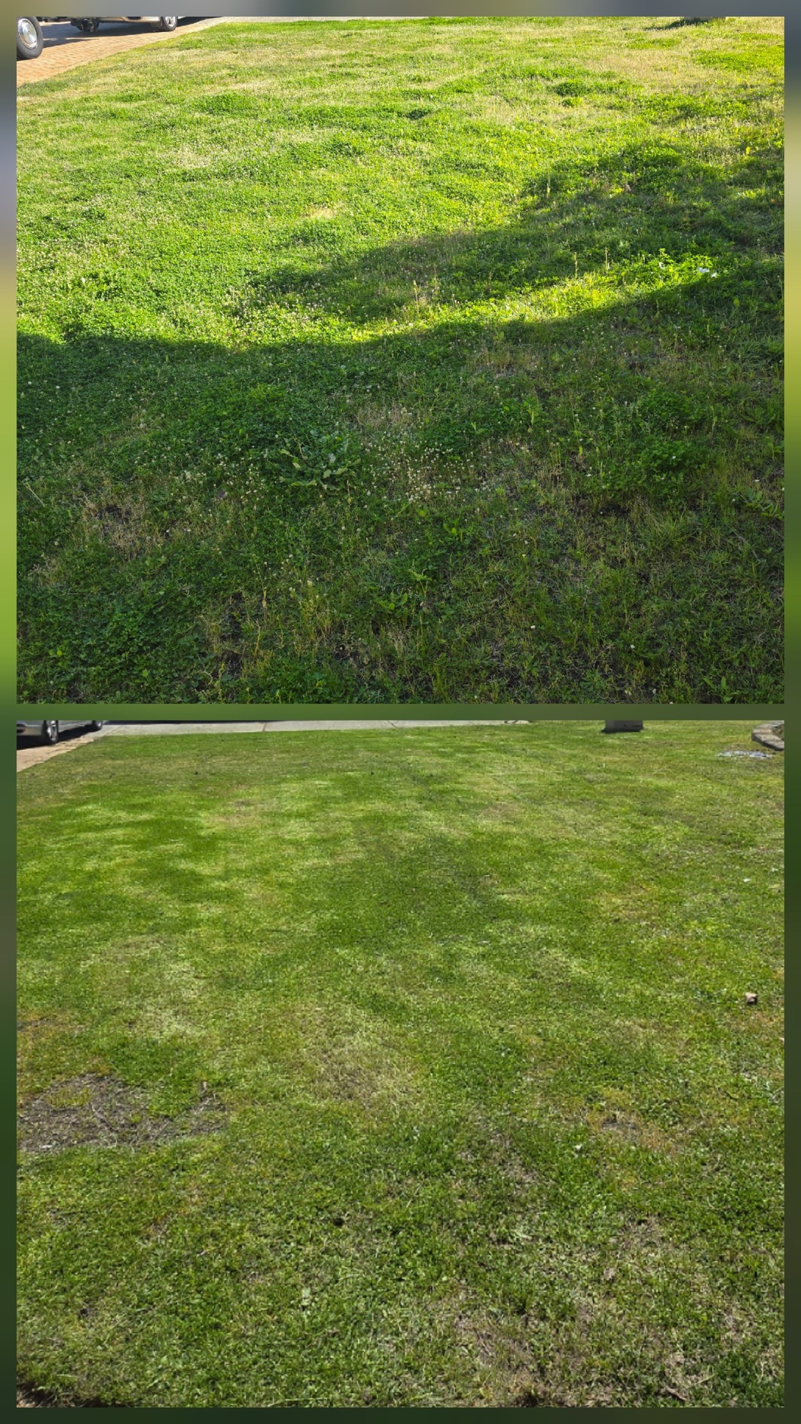 lawn-derful's image
