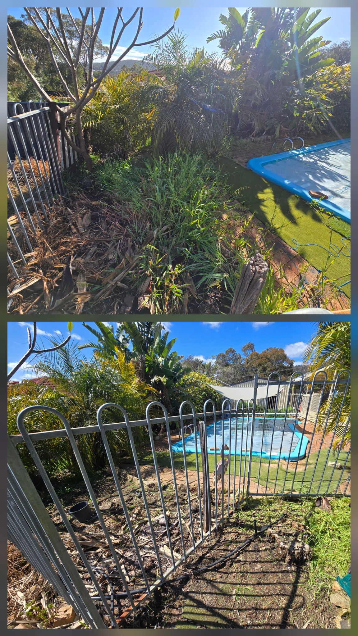 lawn-derful's image