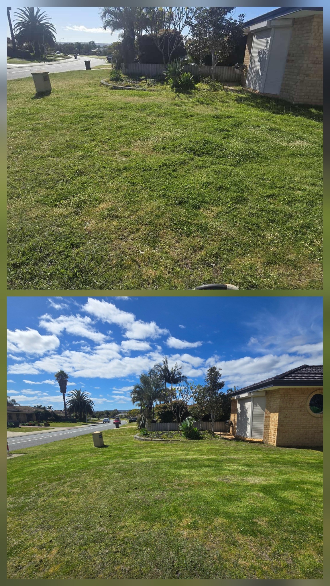 lawn-derful's image