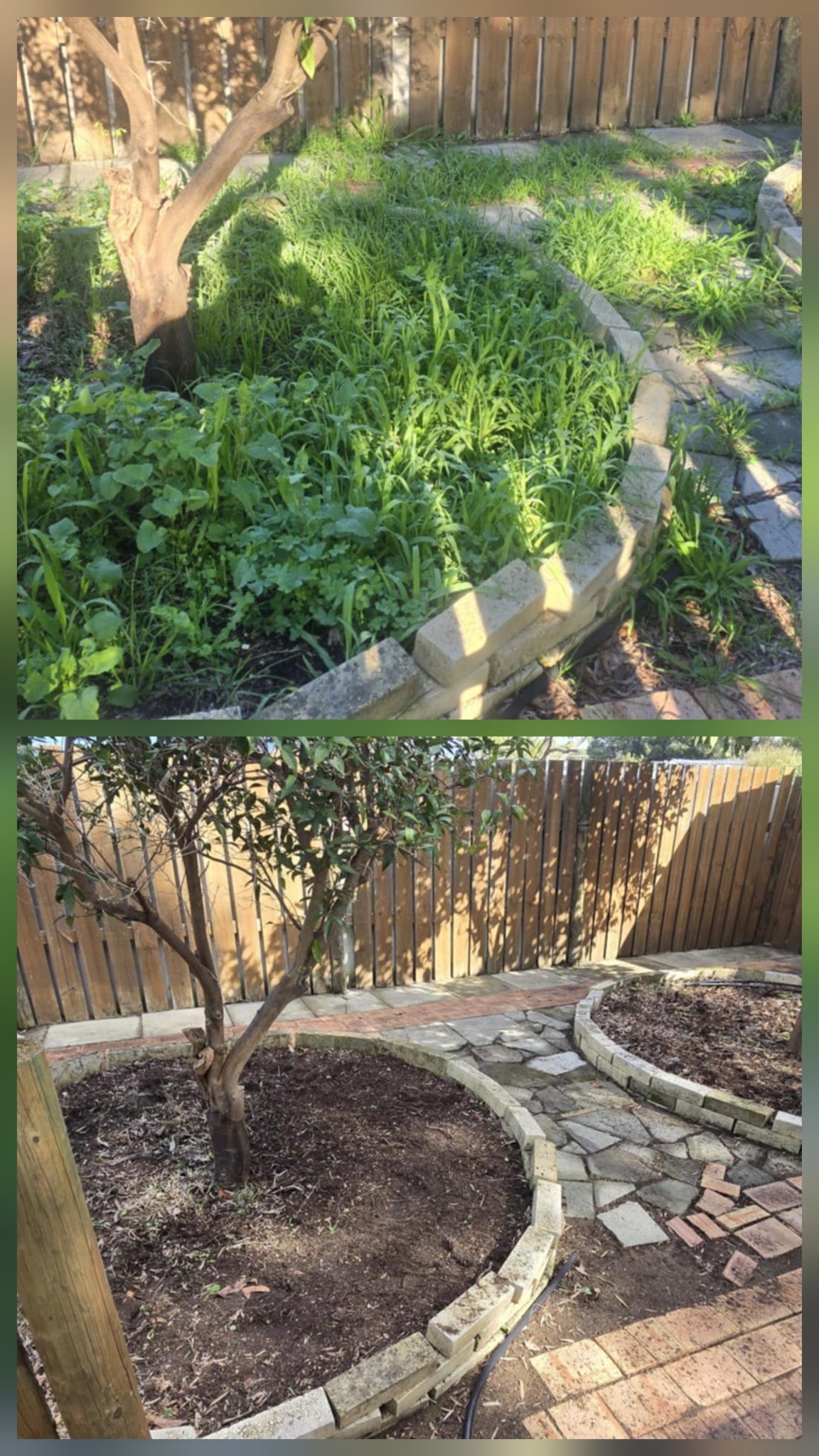 lawn-derful's image