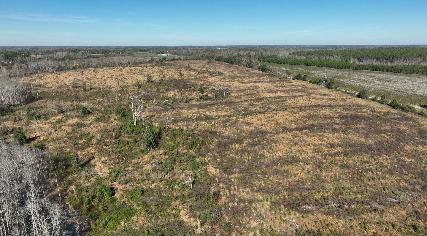 Sometimes Farm's image