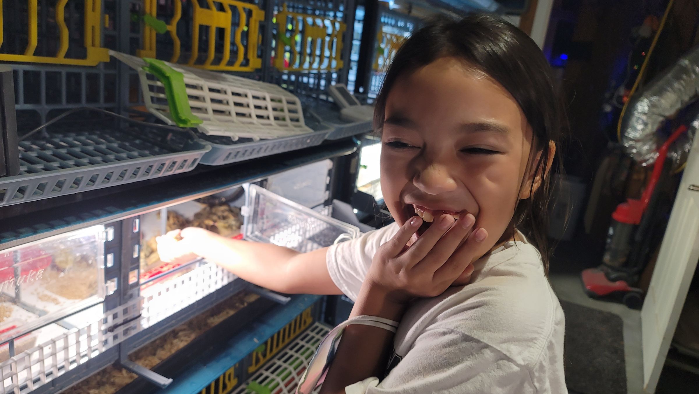 Sometimes Farm's image