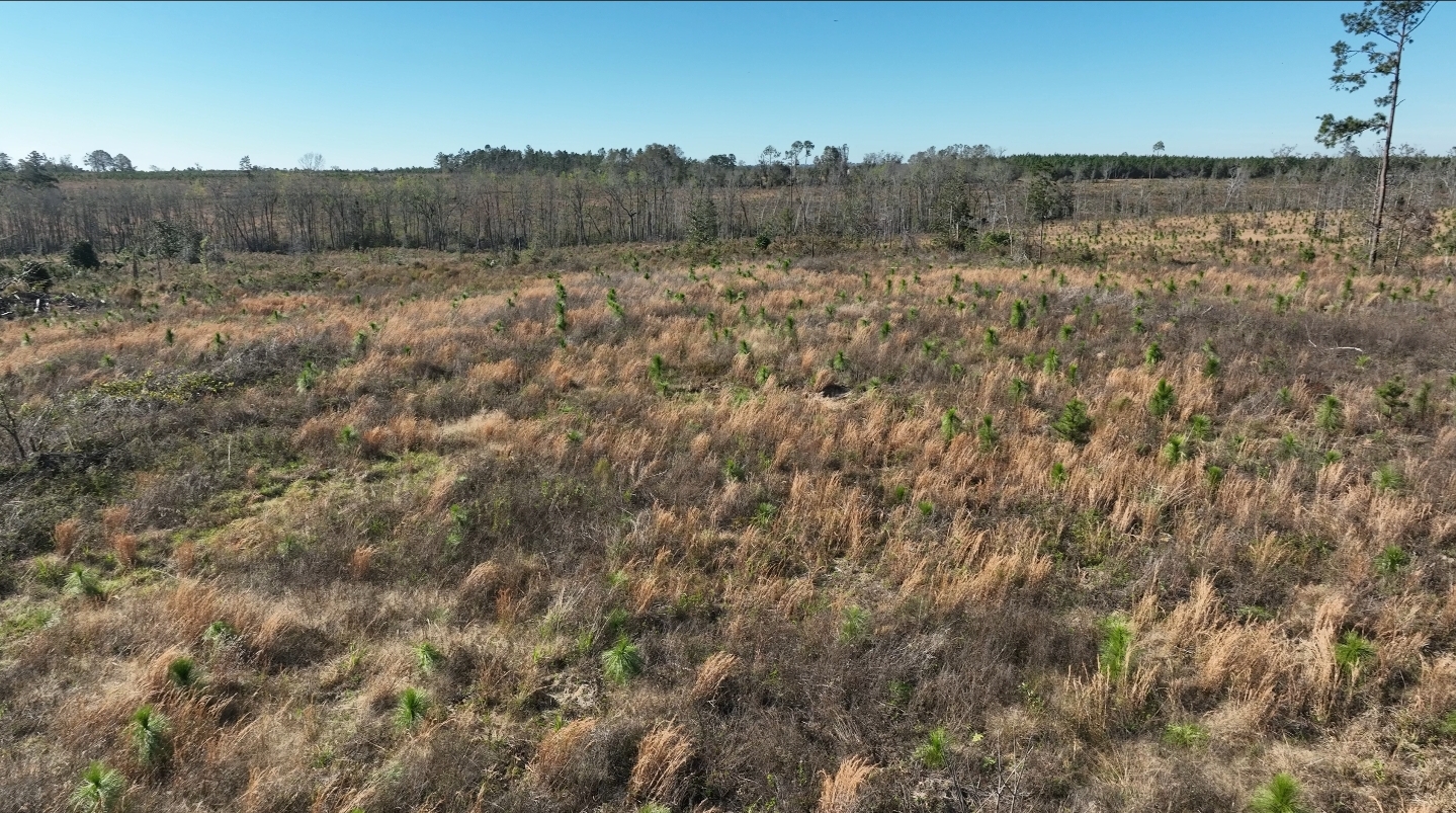 Sometimes Farm's image