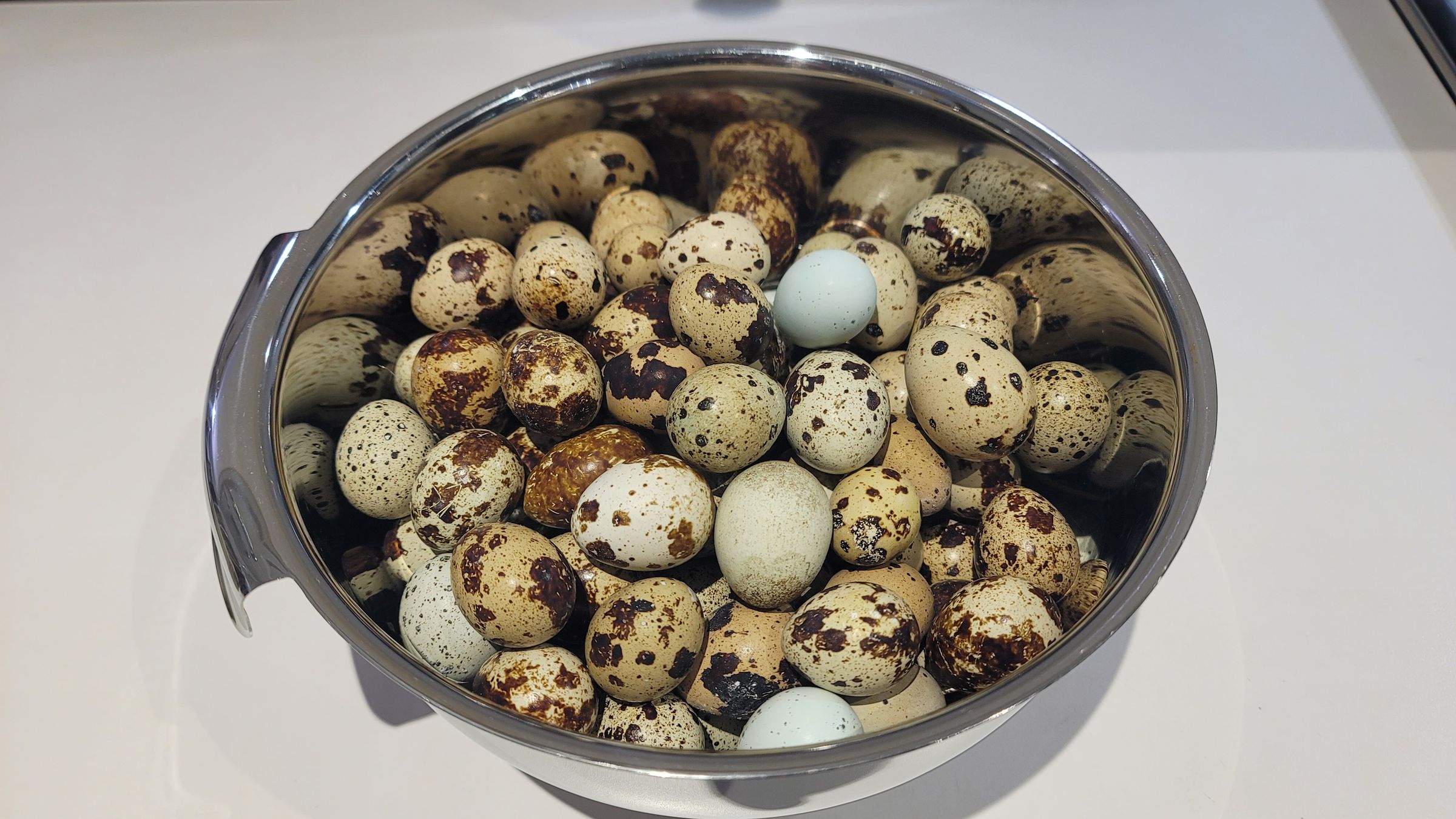 Sometimes Farm's image