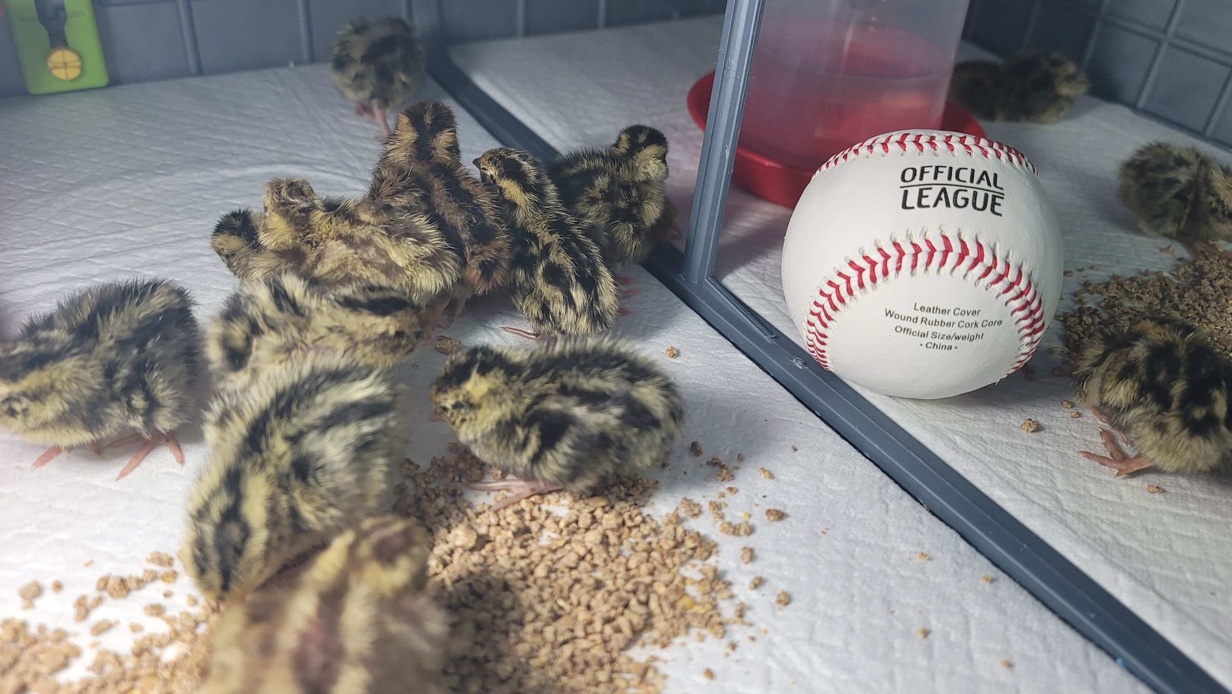 Sometimes Farm's image