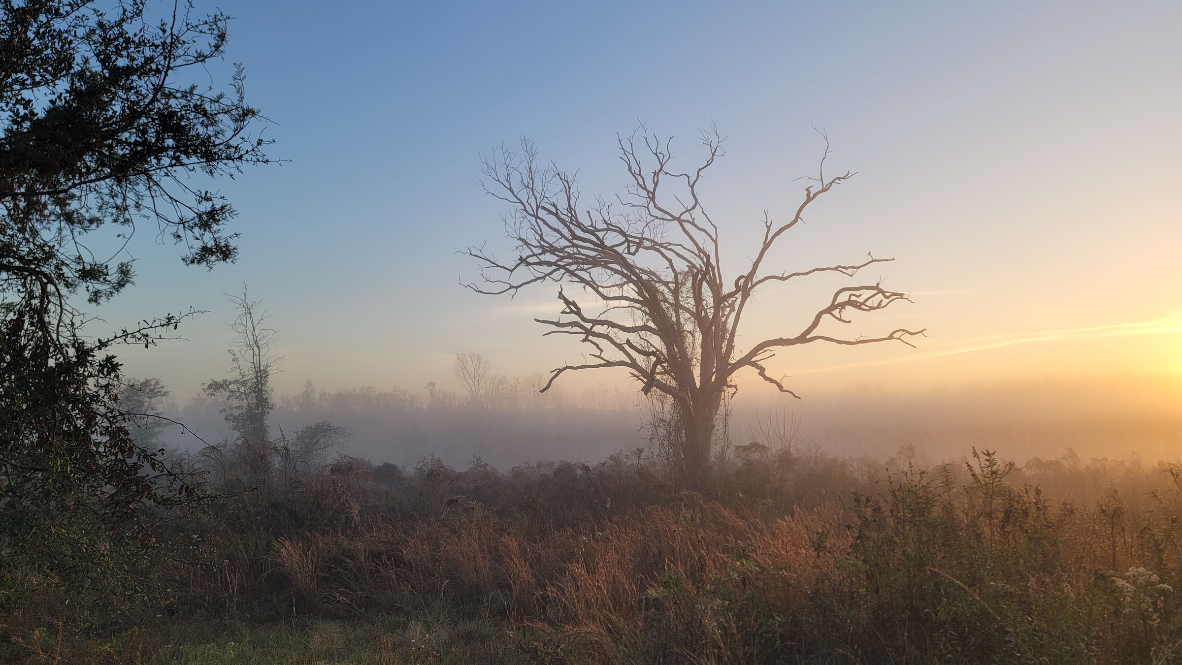 Sometimes Farm's image